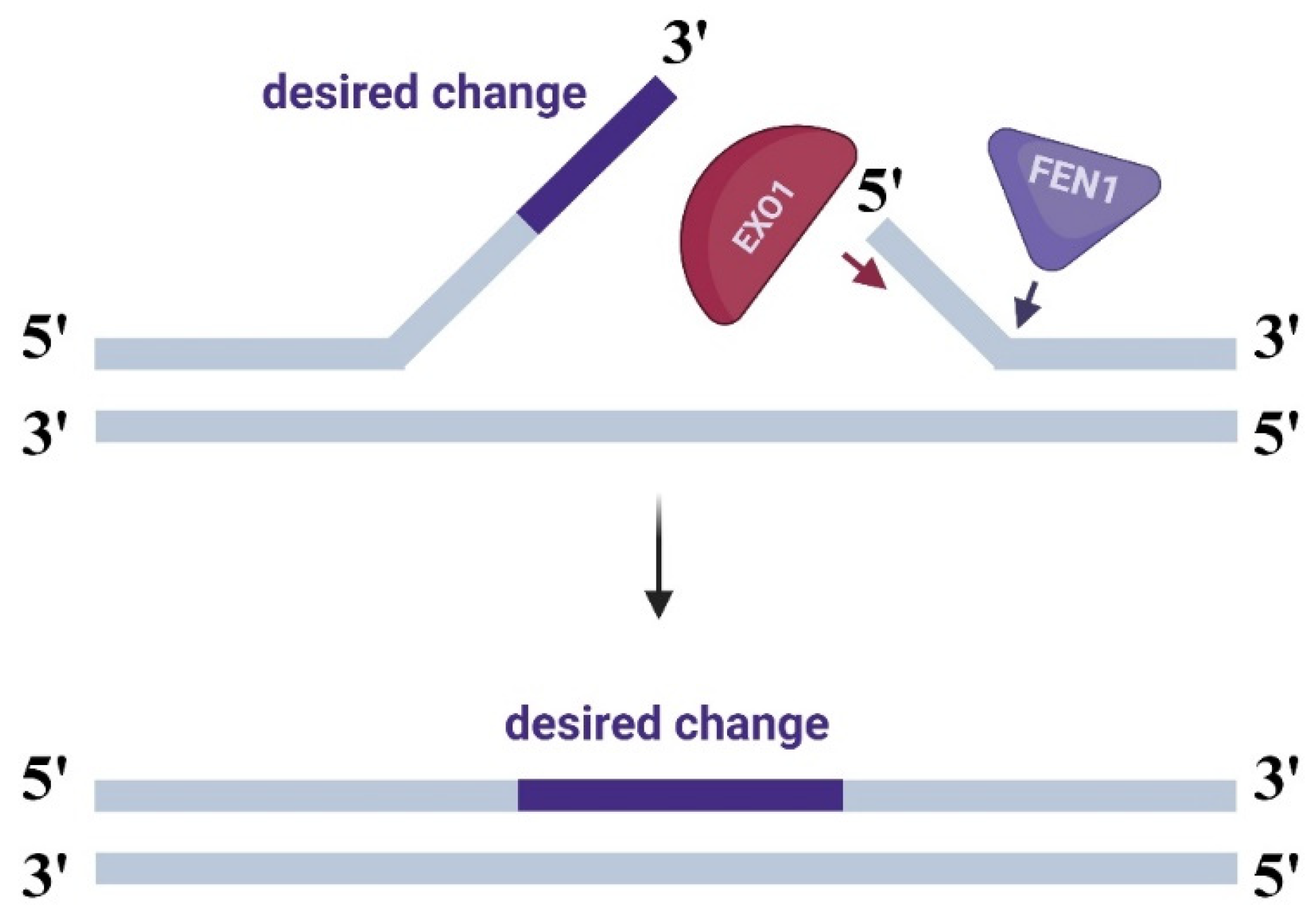 Ijms 26 07943 g003 Ijms 26 07943 g003