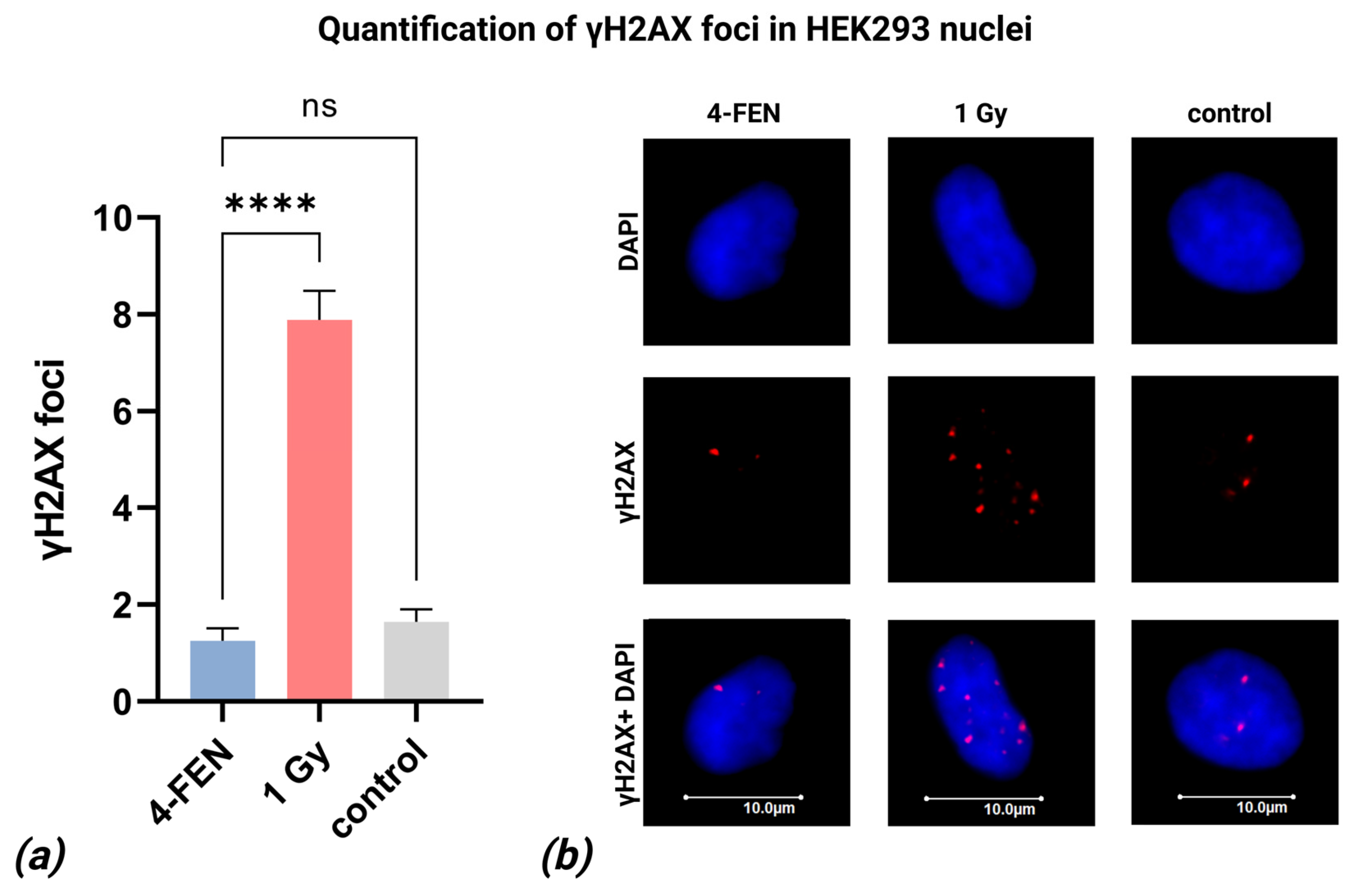 Ijms 26 07943 g007 Ijms 26 07943 g007
