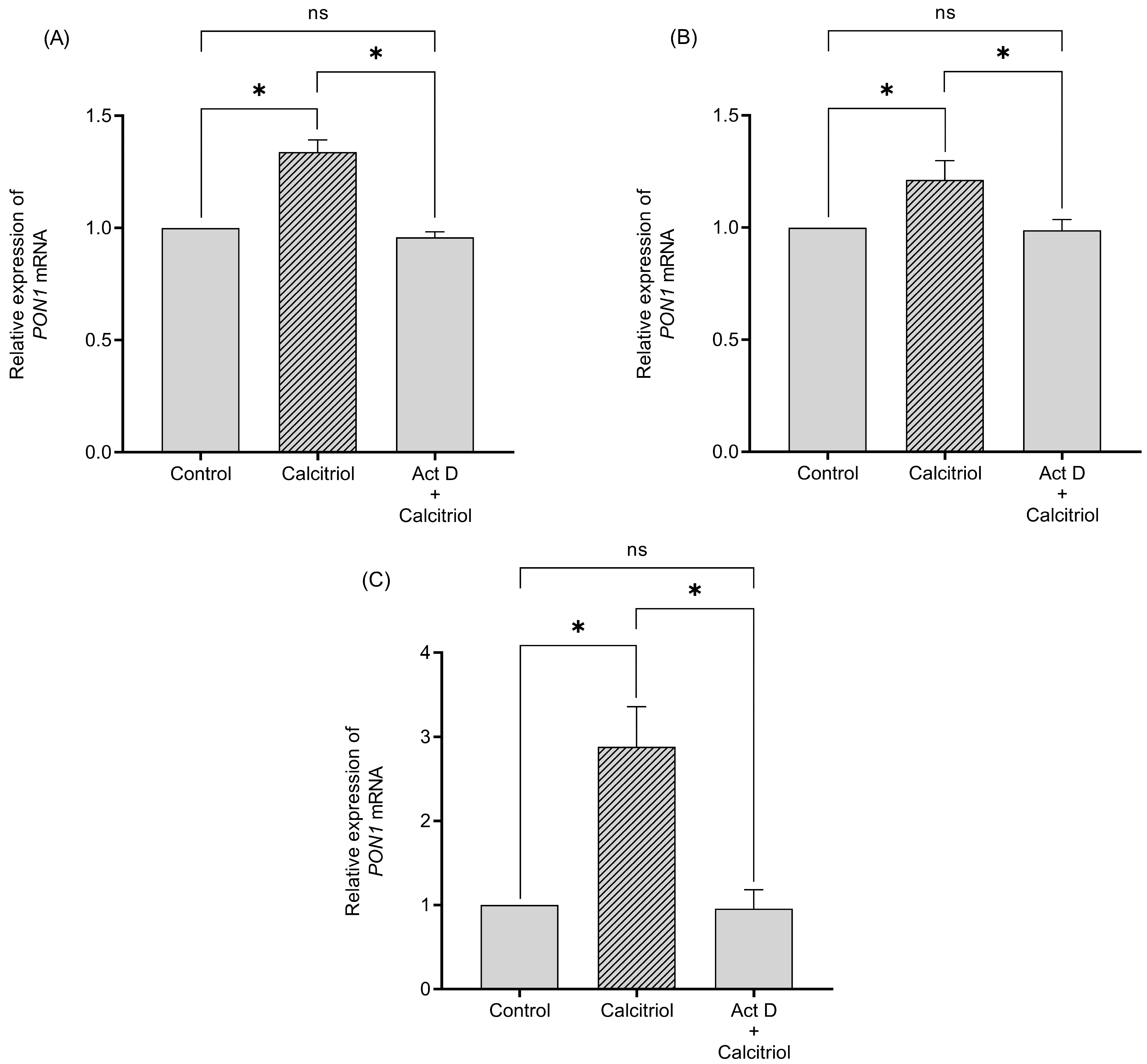 Ijms 26 07948 g003 Ijms 26 07948 g003