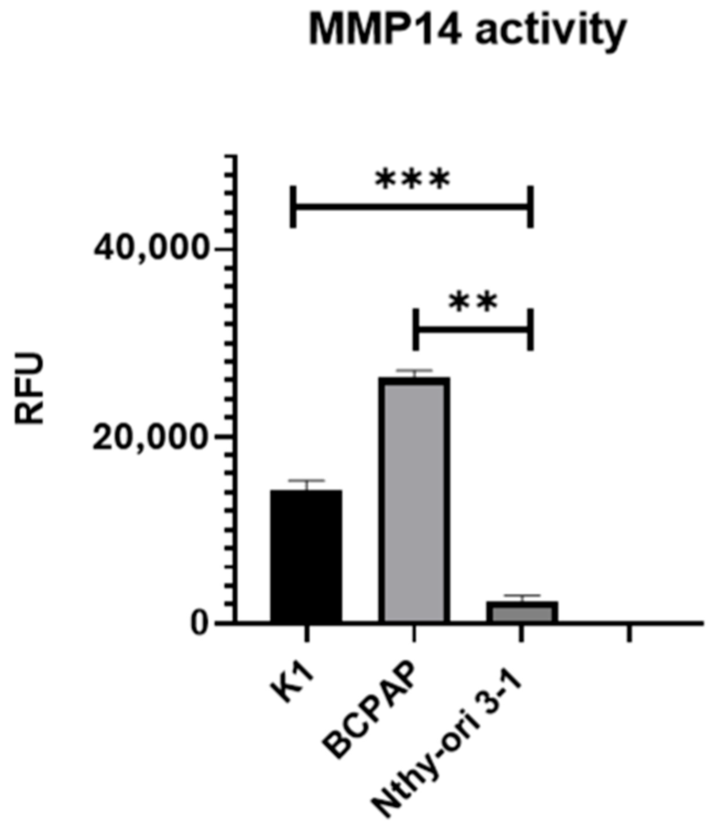 Ijms 26 07956 g003 Ijms 26 07956 g003