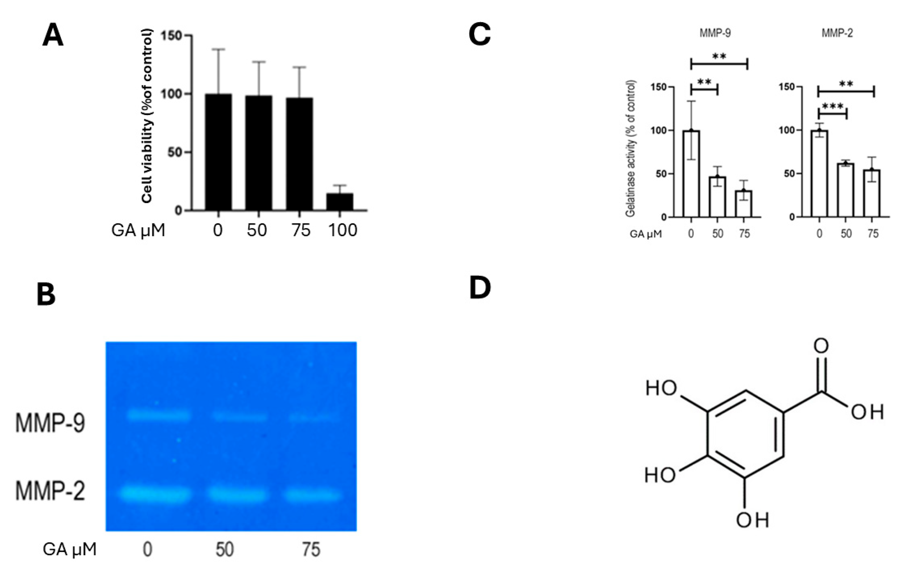 Ijms 26 07956 g006 Ijms 26 07956 g006