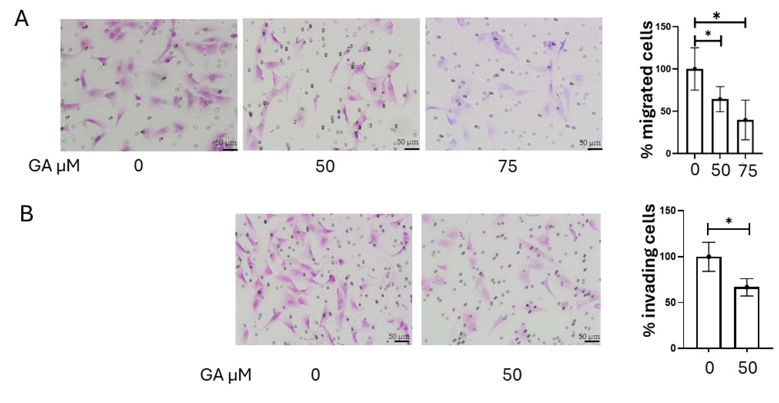 Ijms 26 07956 g007 Ijms 26 07956 g007