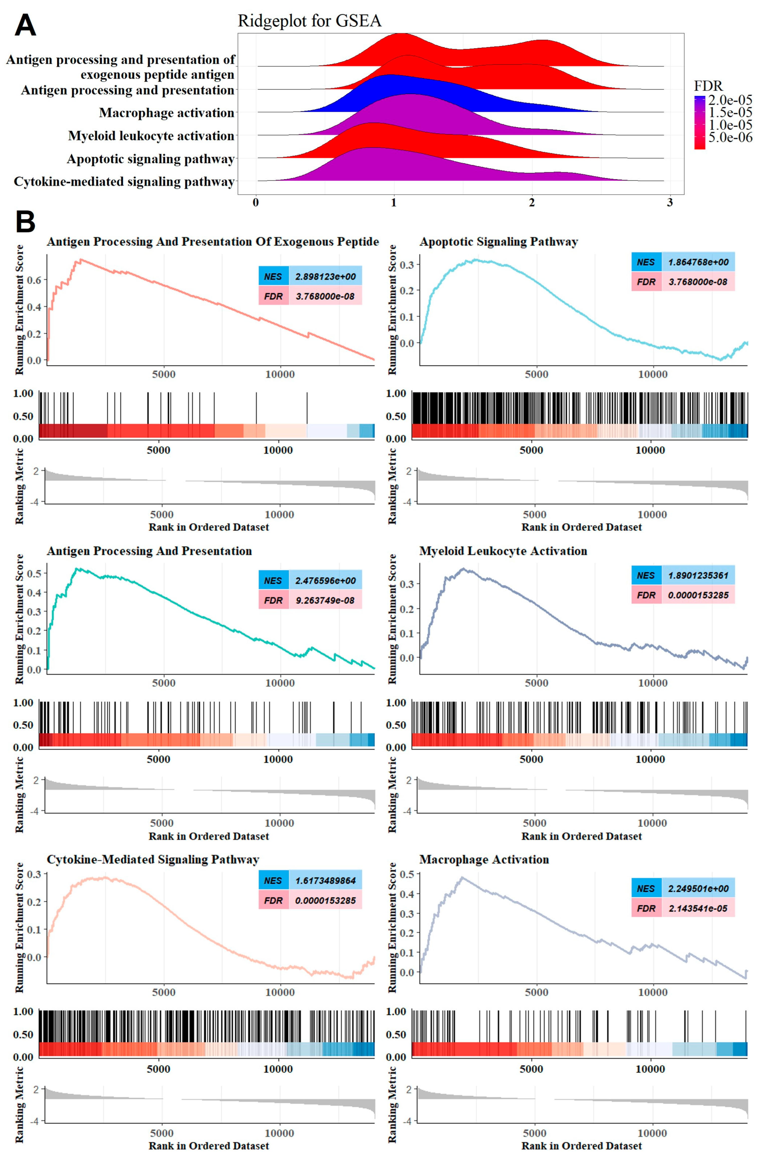 Ijms 26 07957 g002 Ijms 26 07957 g002