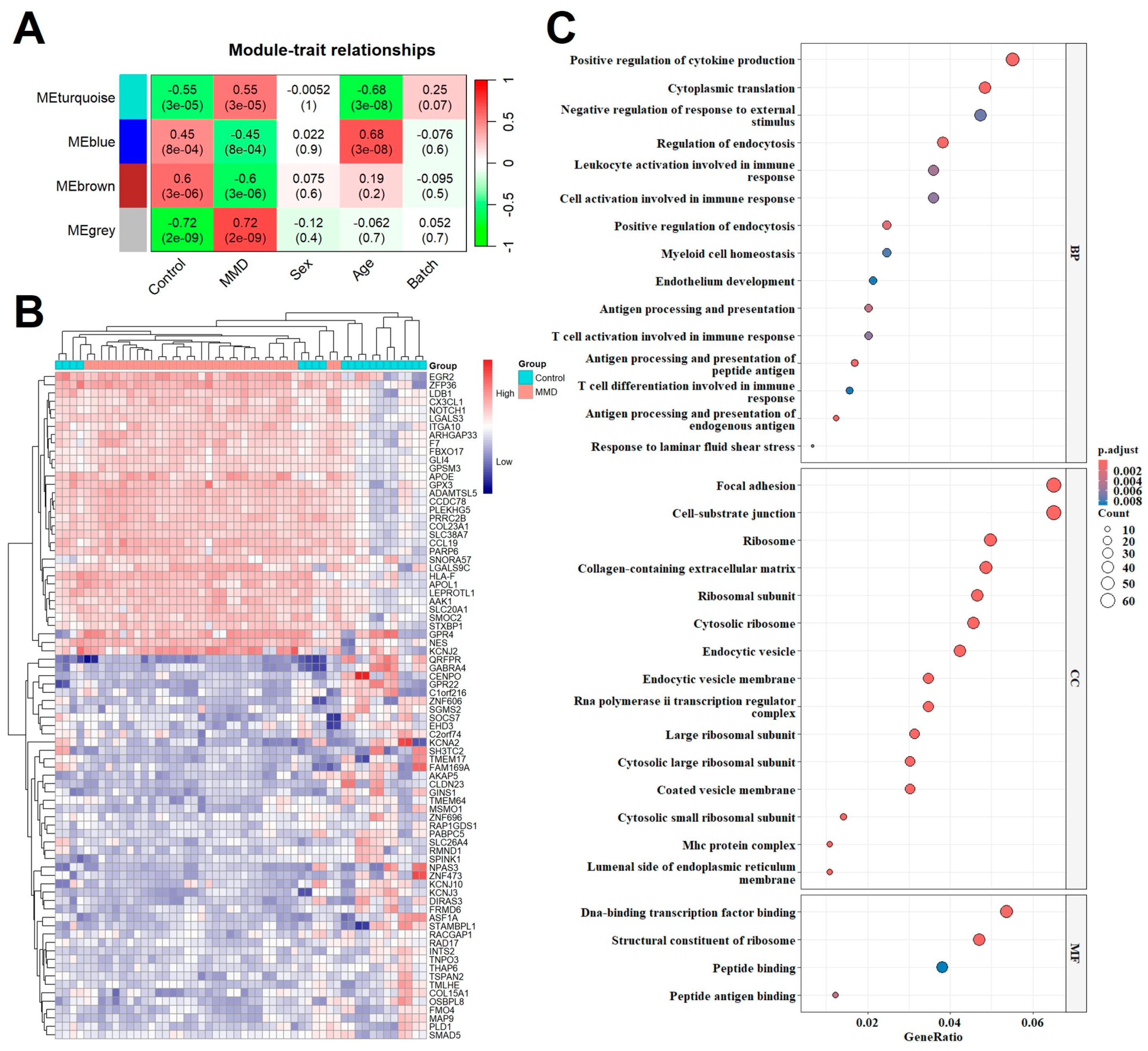 Ijms 26 07957 g003 Ijms 26 07957 g003