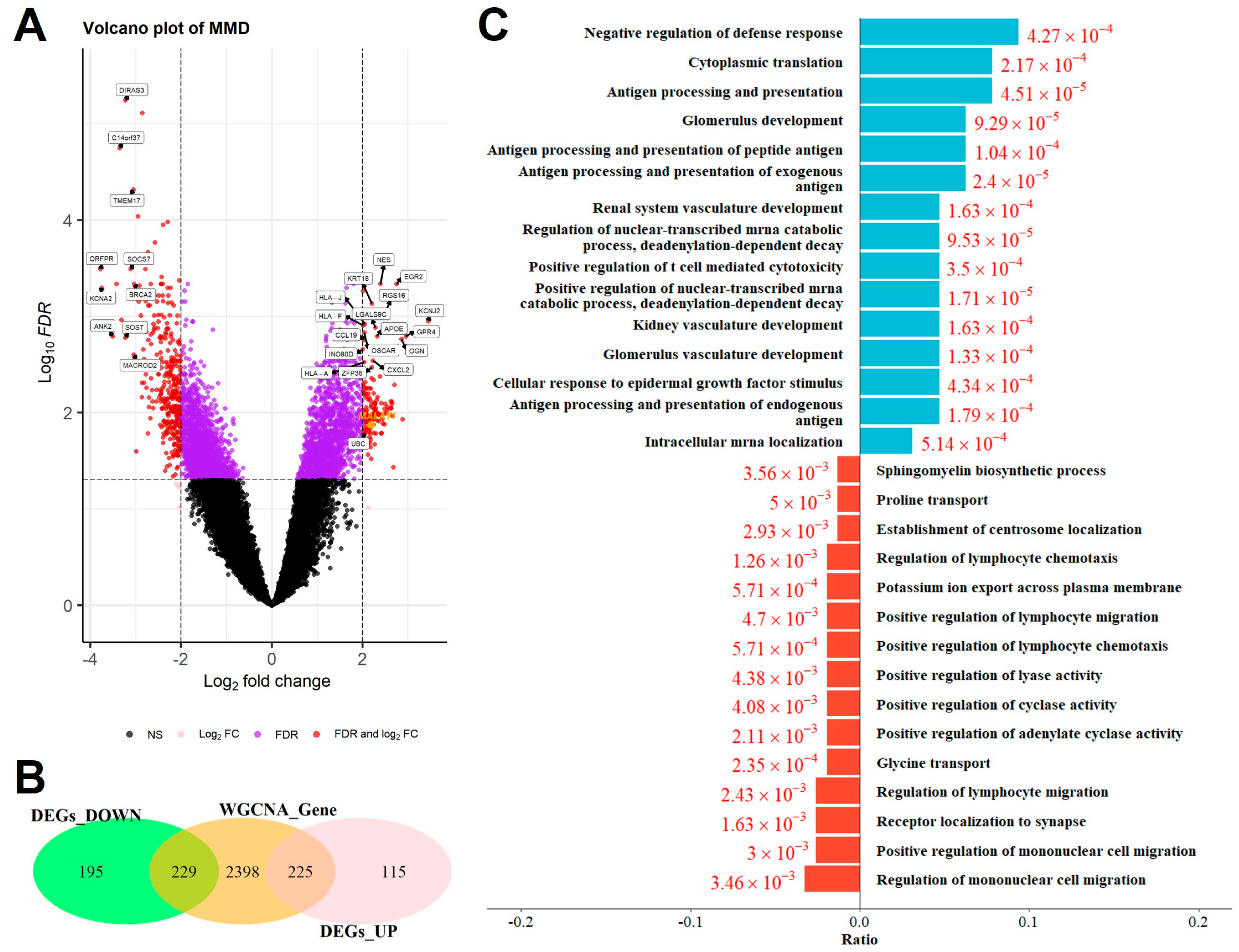 Ijms 26 07957 g004 Ijms 26 07957 g004
