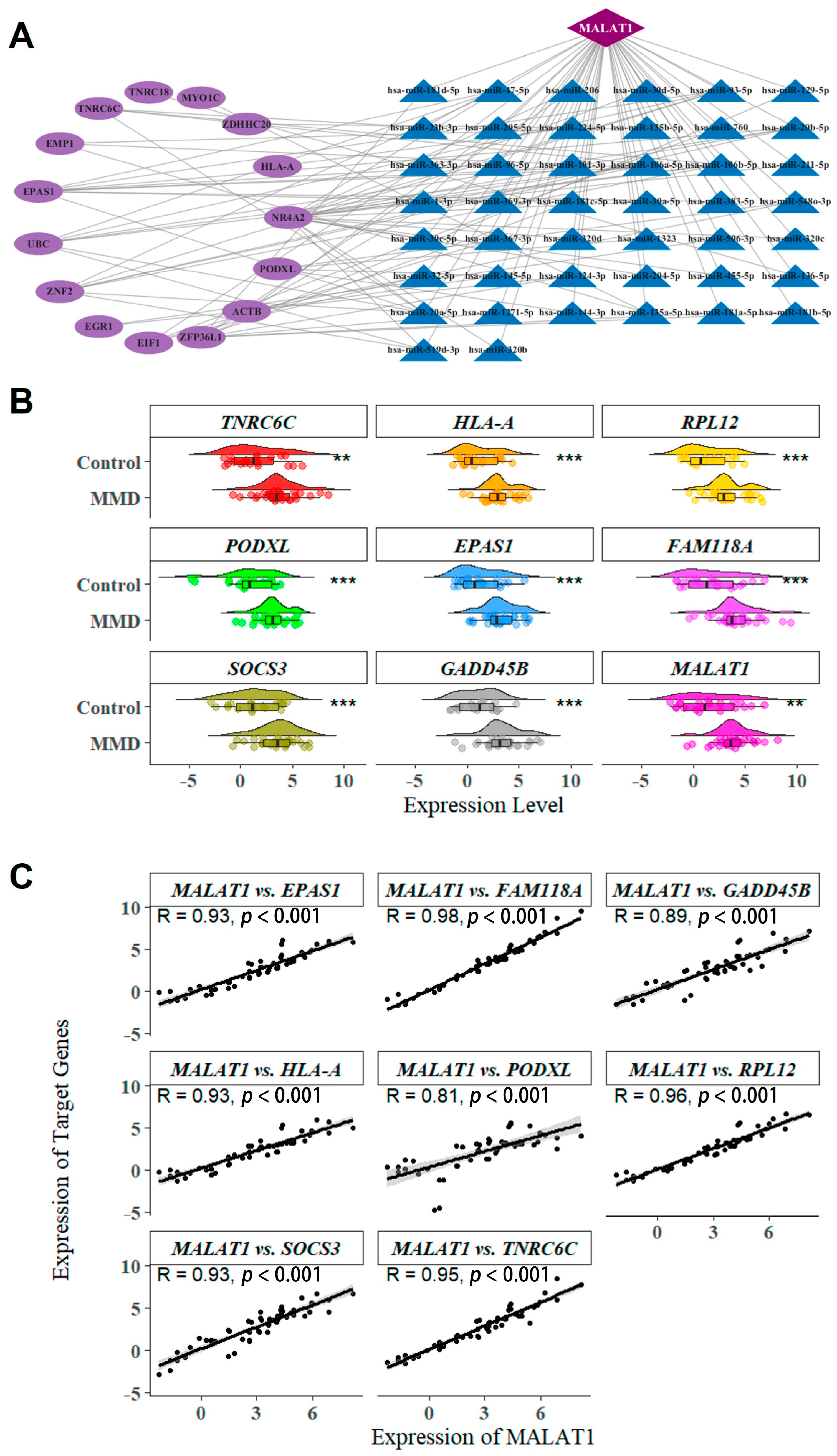 Ijms 26 07957 g005 Ijms 26 07957 g005