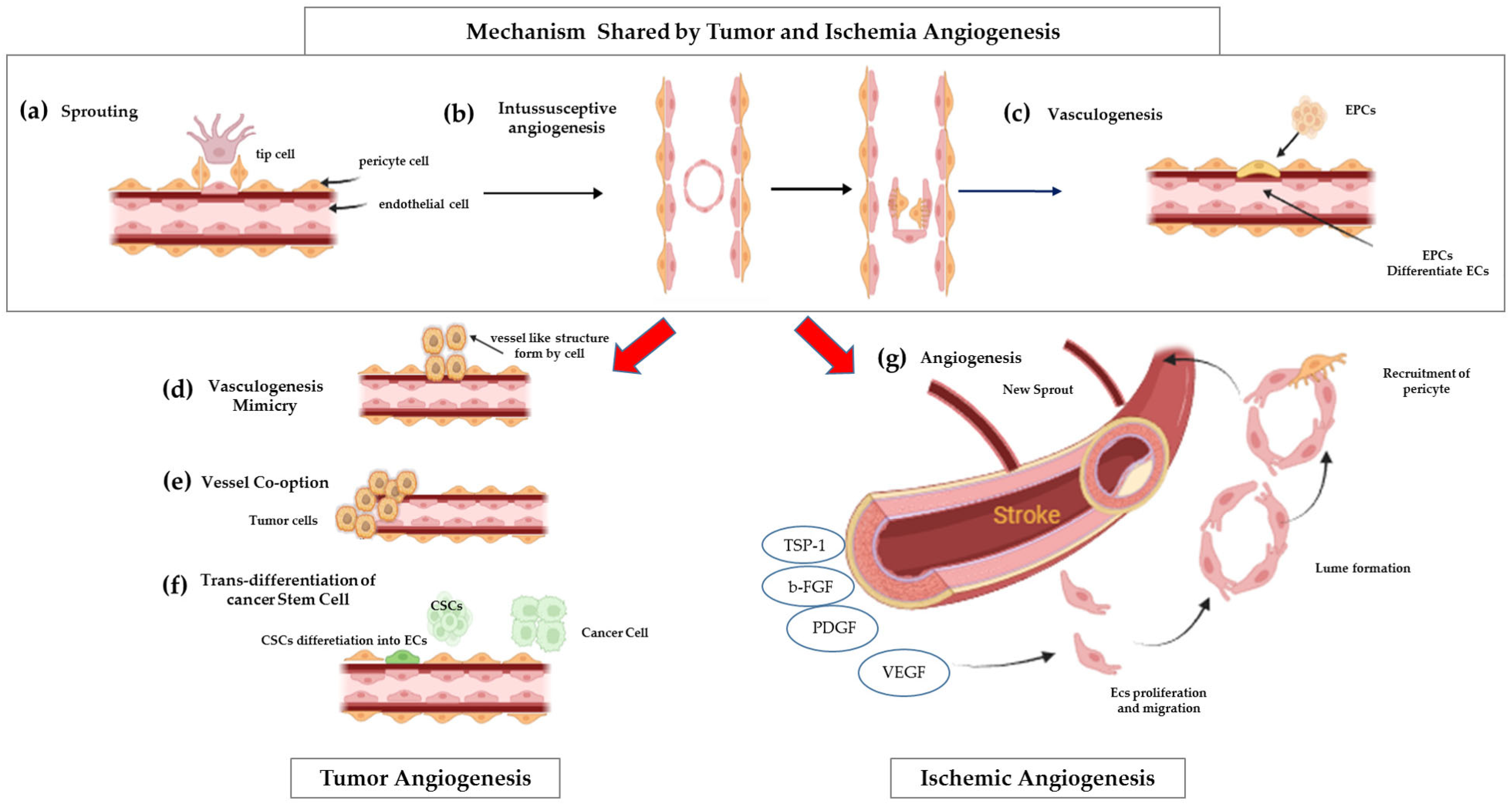 a adidas ZX 8000 sneakers for Women - White in USA | Level Shoes