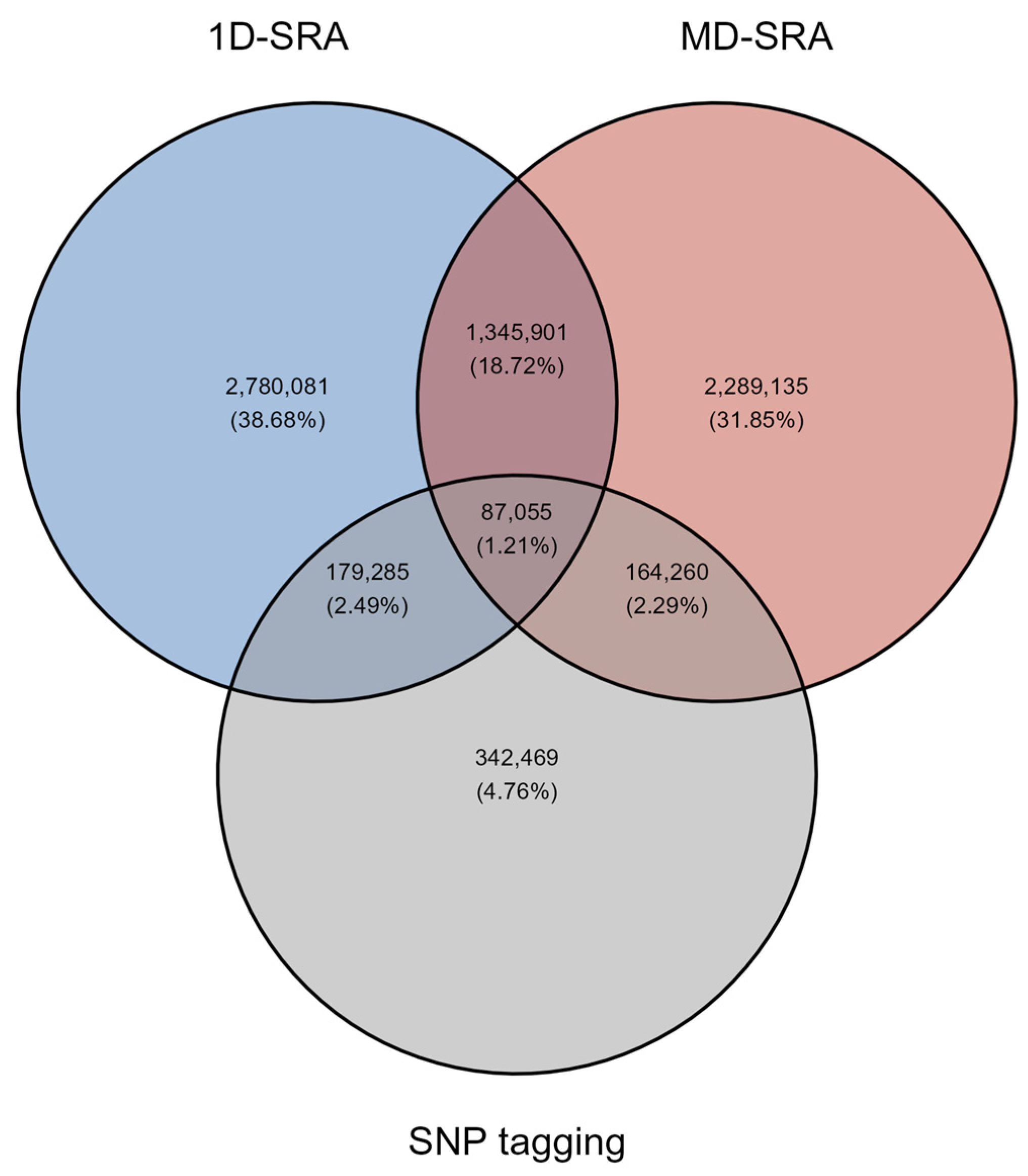 Ijms 26 07961 g001 Ijms 26 07961 g001