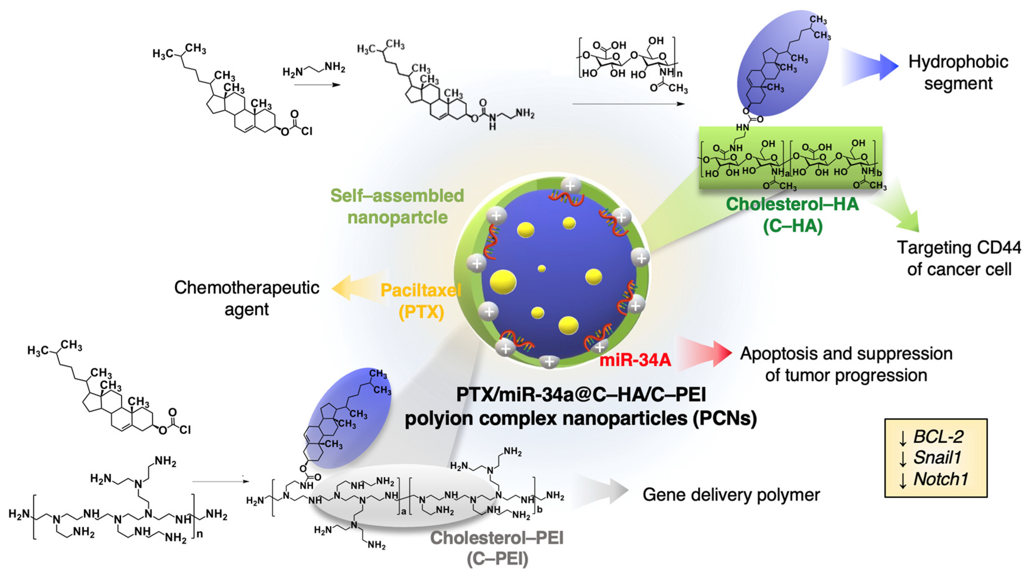 Ijms 26 07965 sch001