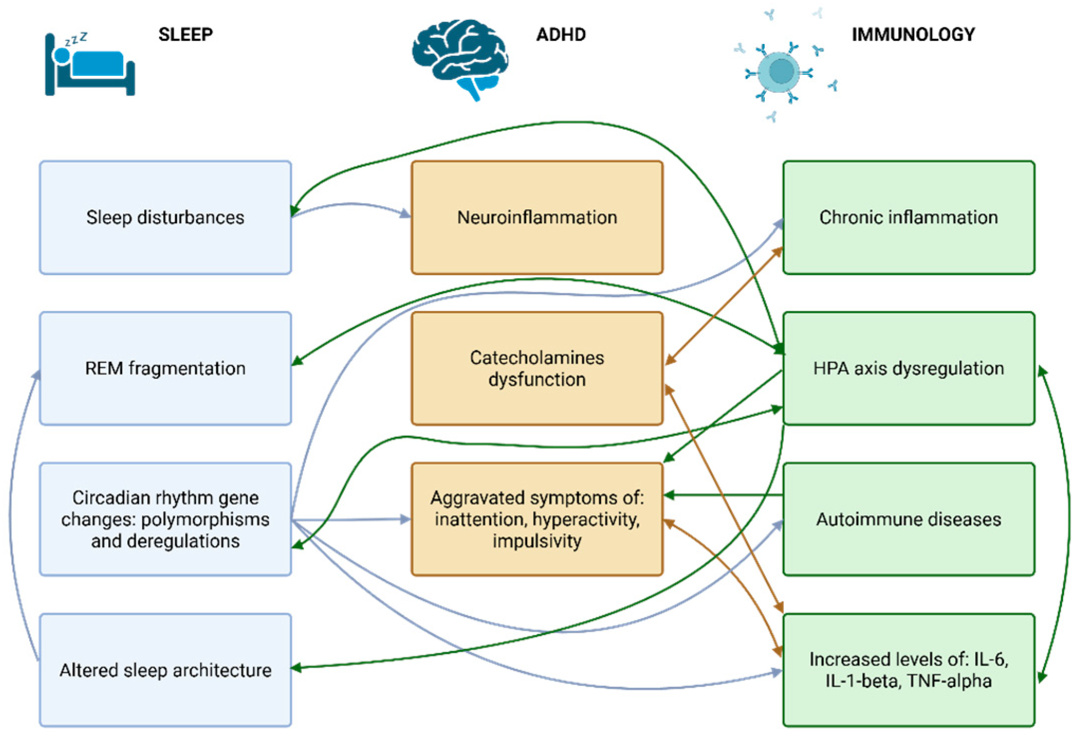 Ijms 26 07967 g001 Ijms 26 07967 g001
