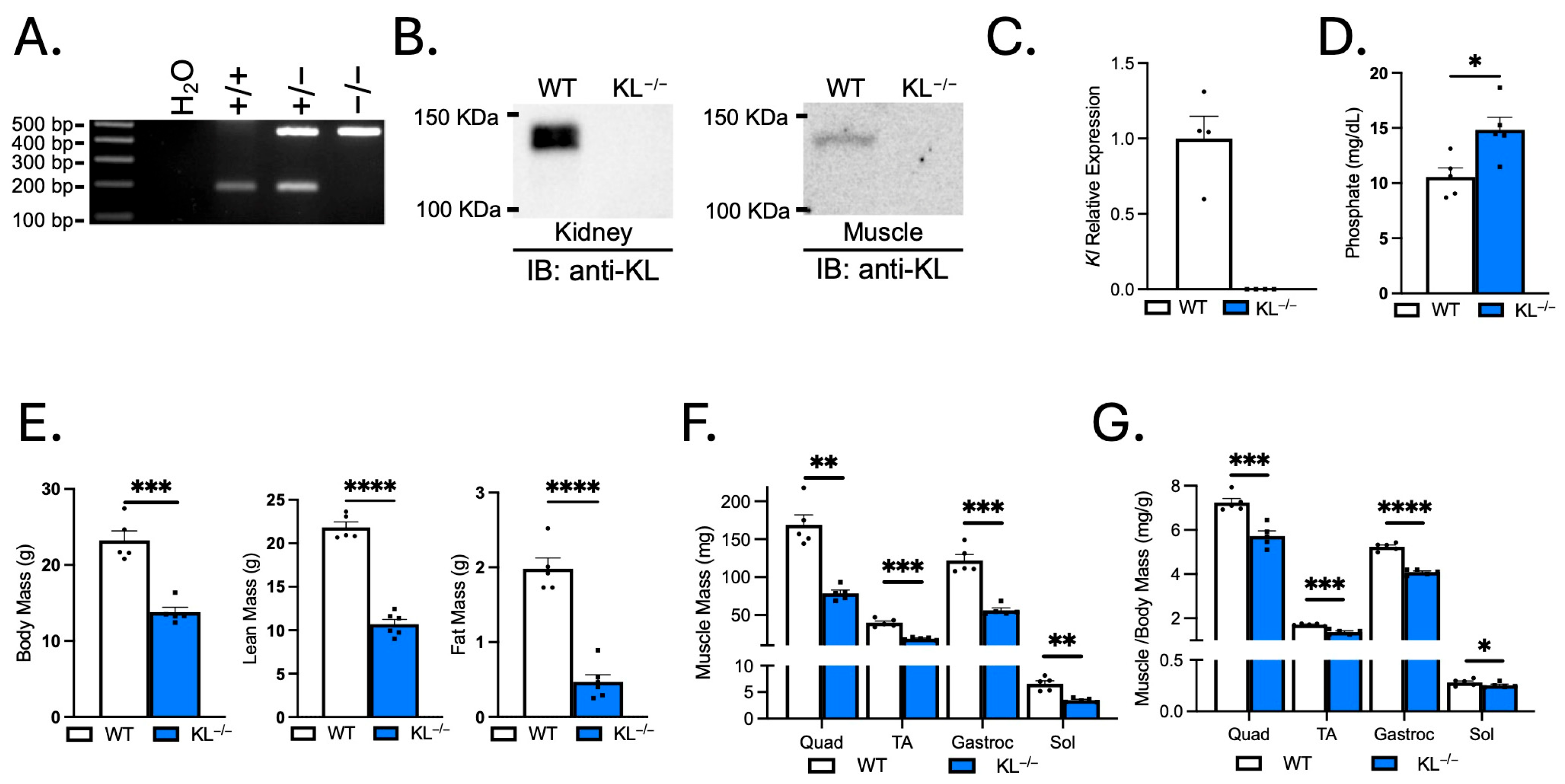 Ijms 26 07986 g001 Ijms 26 07986 g001