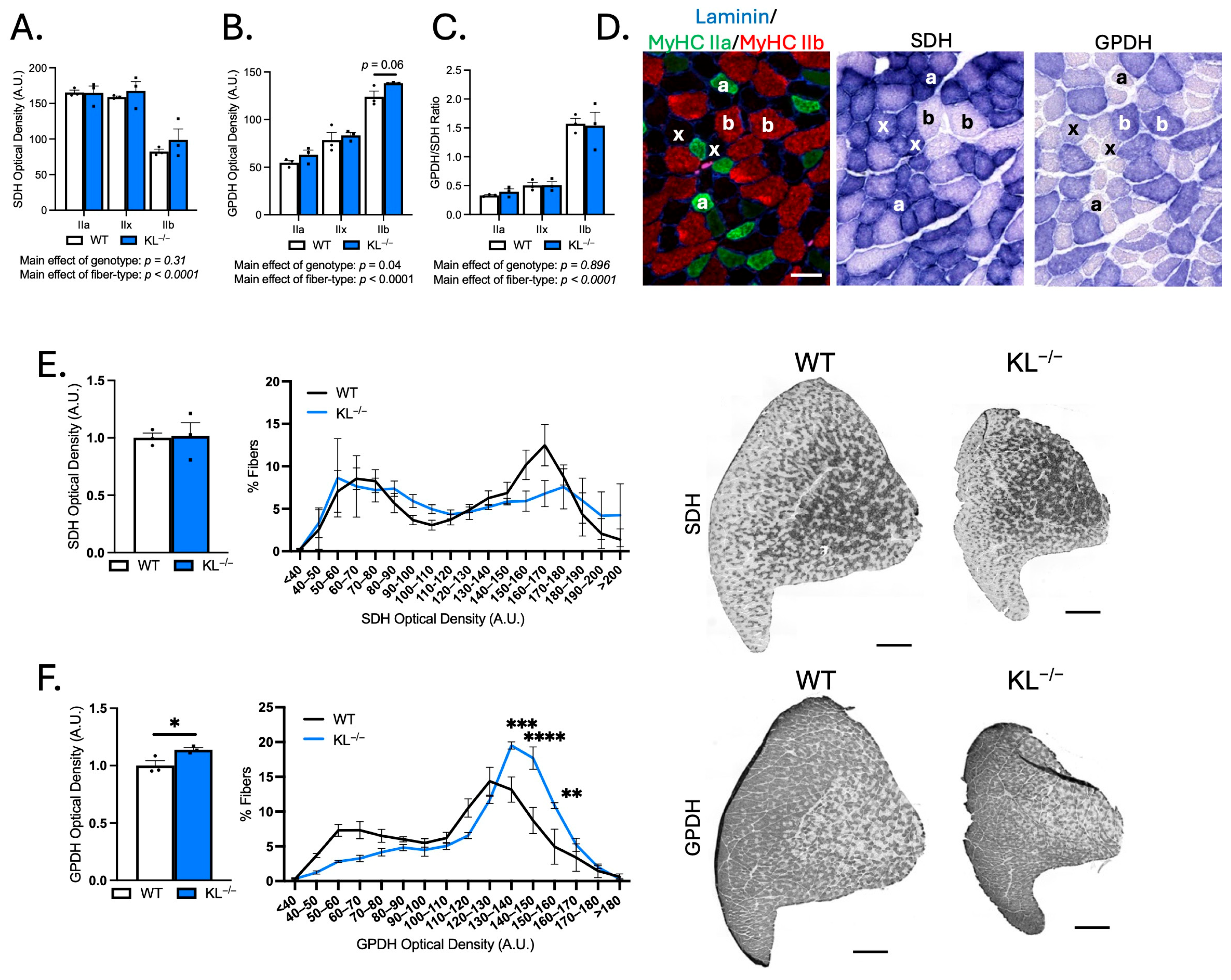 Ijms 26 07986 g004 Ijms 26 07986 g004