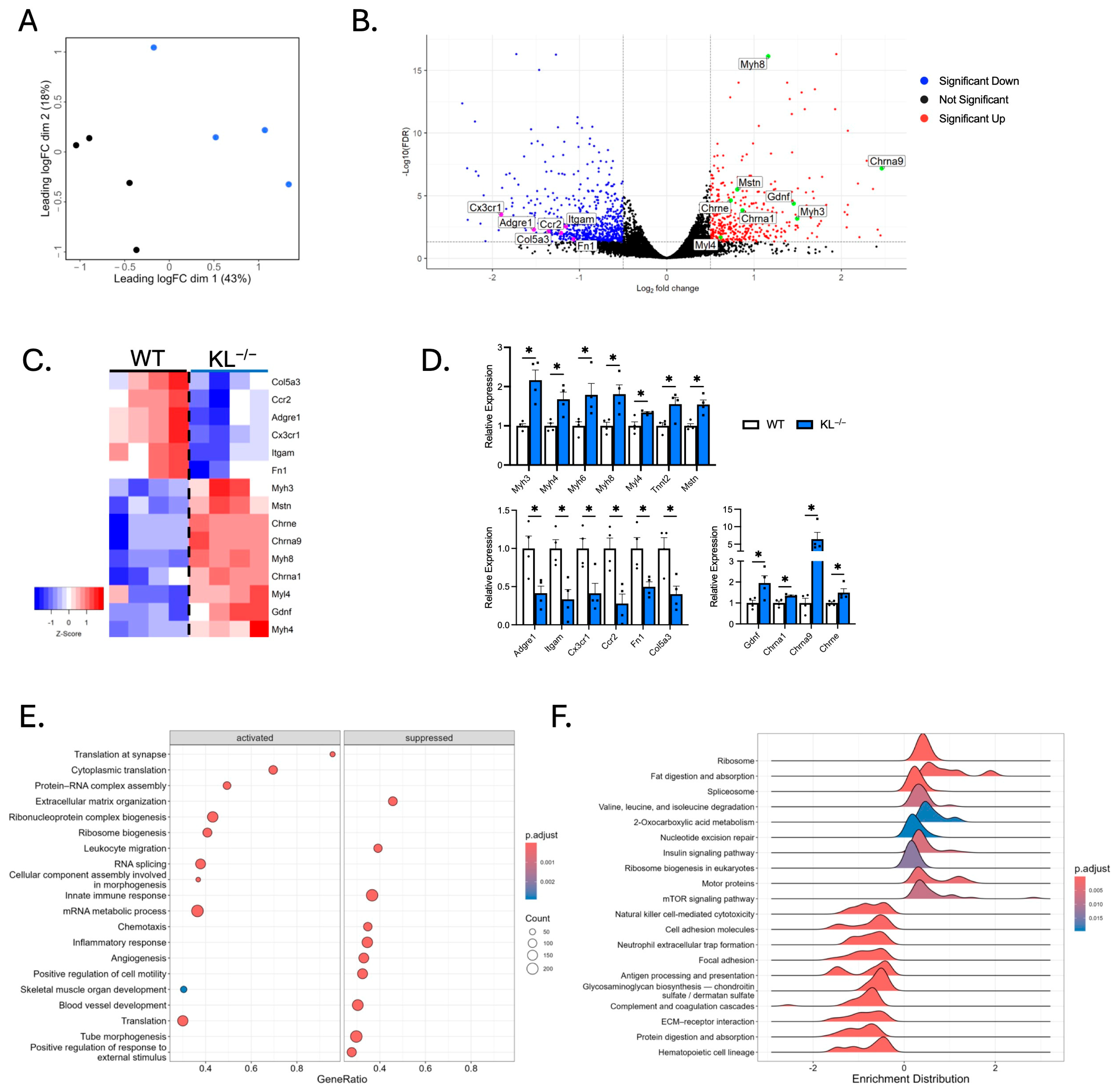 Ijms 26 07986 g005 Ijms 26 07986 g005
