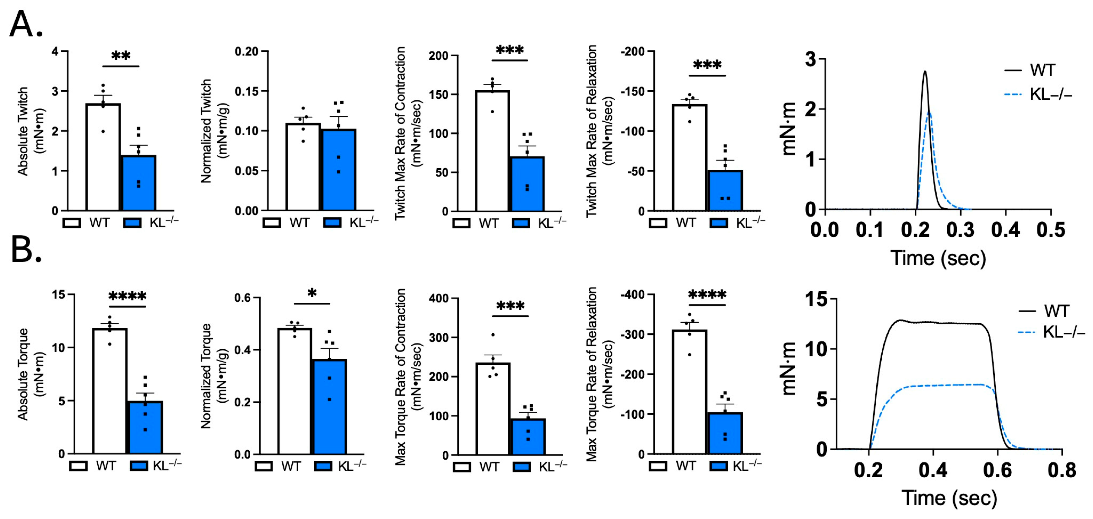 Ijms 26 07986 g006 Ijms 26 07986 g006