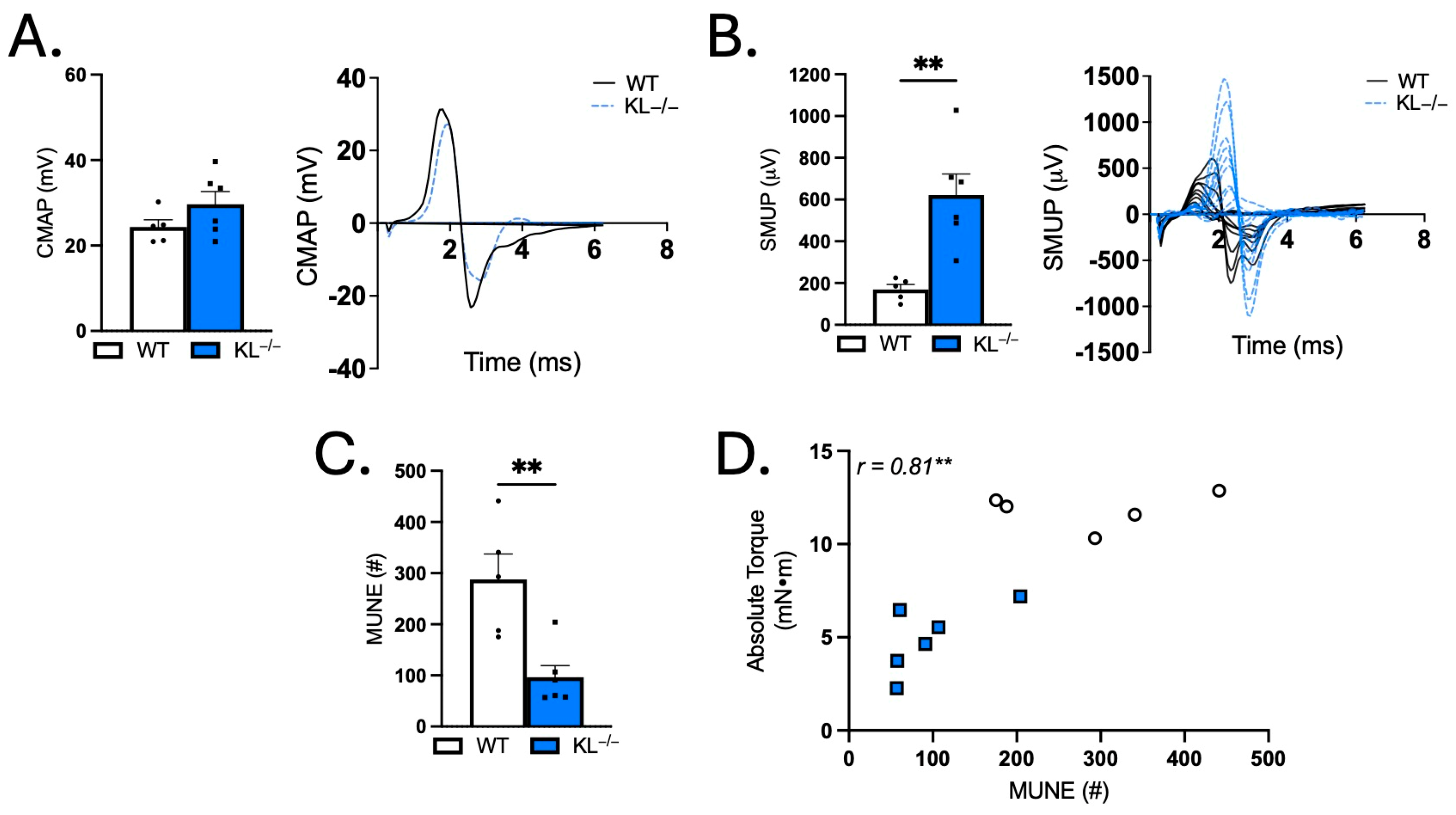 Ijms 26 07986 g007 Ijms 26 07986 g007