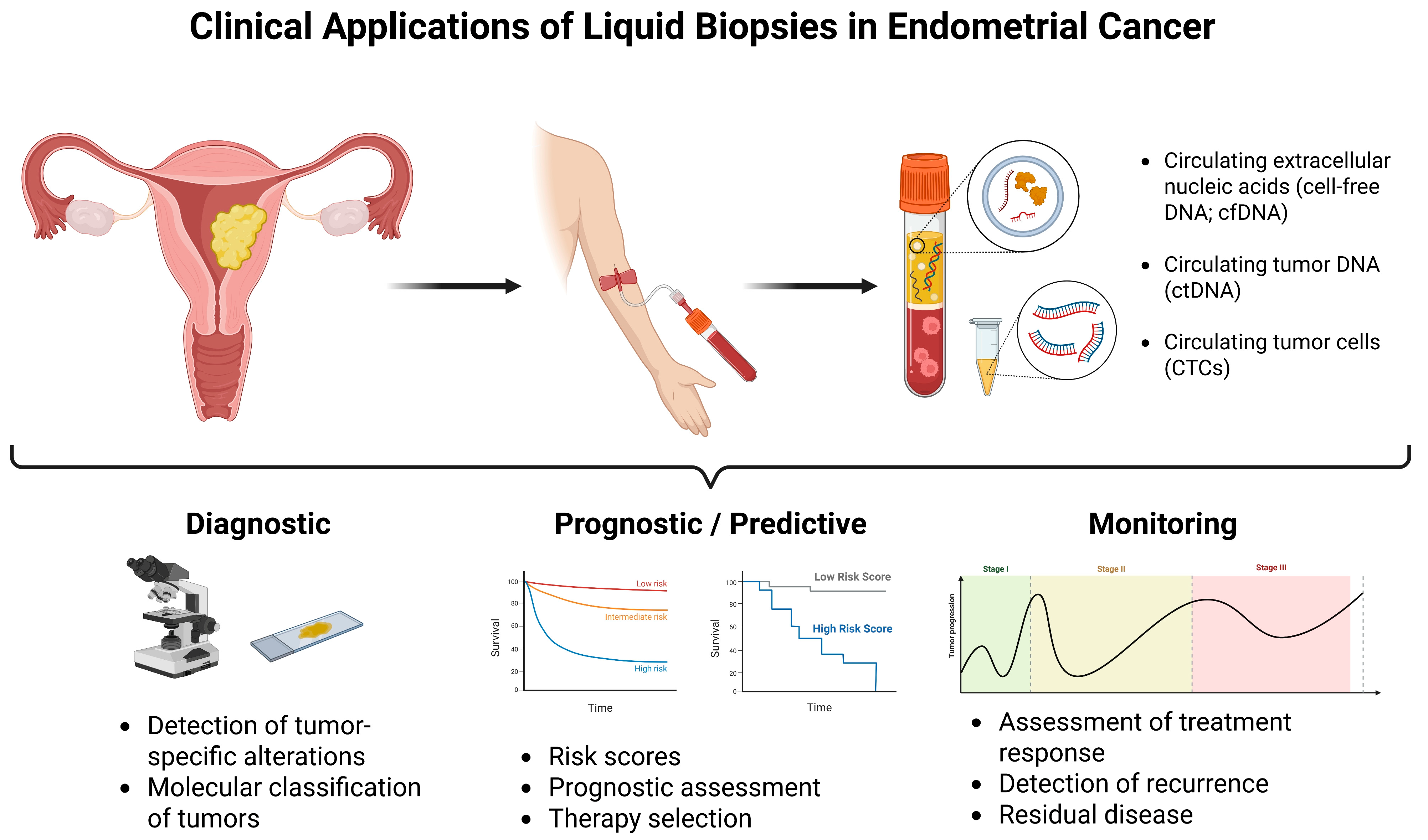 Ijms 26 07987 g001 Ijms 26 07987 g001
