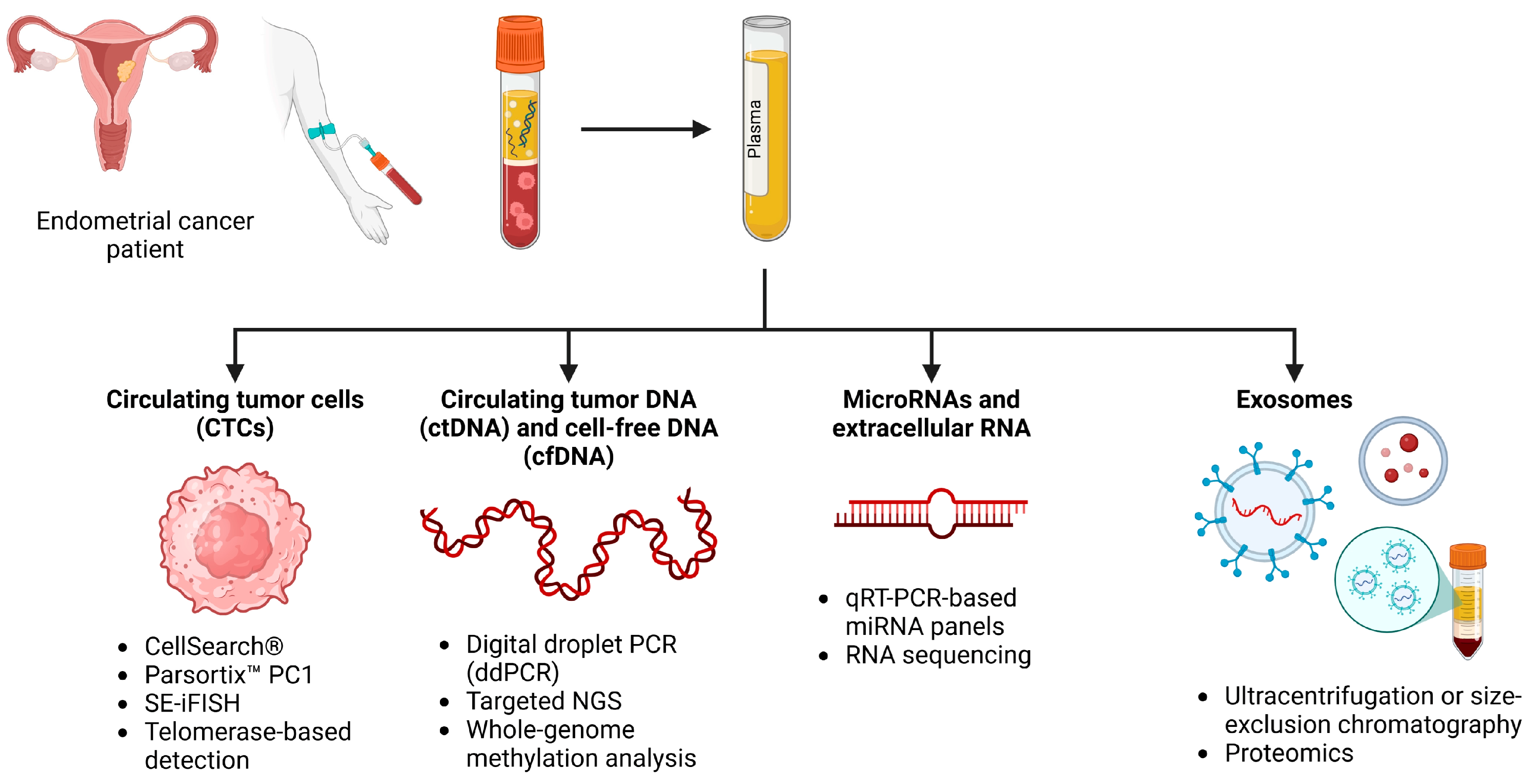 Ijms 26 07987 g002 Ijms 26 07987 g002