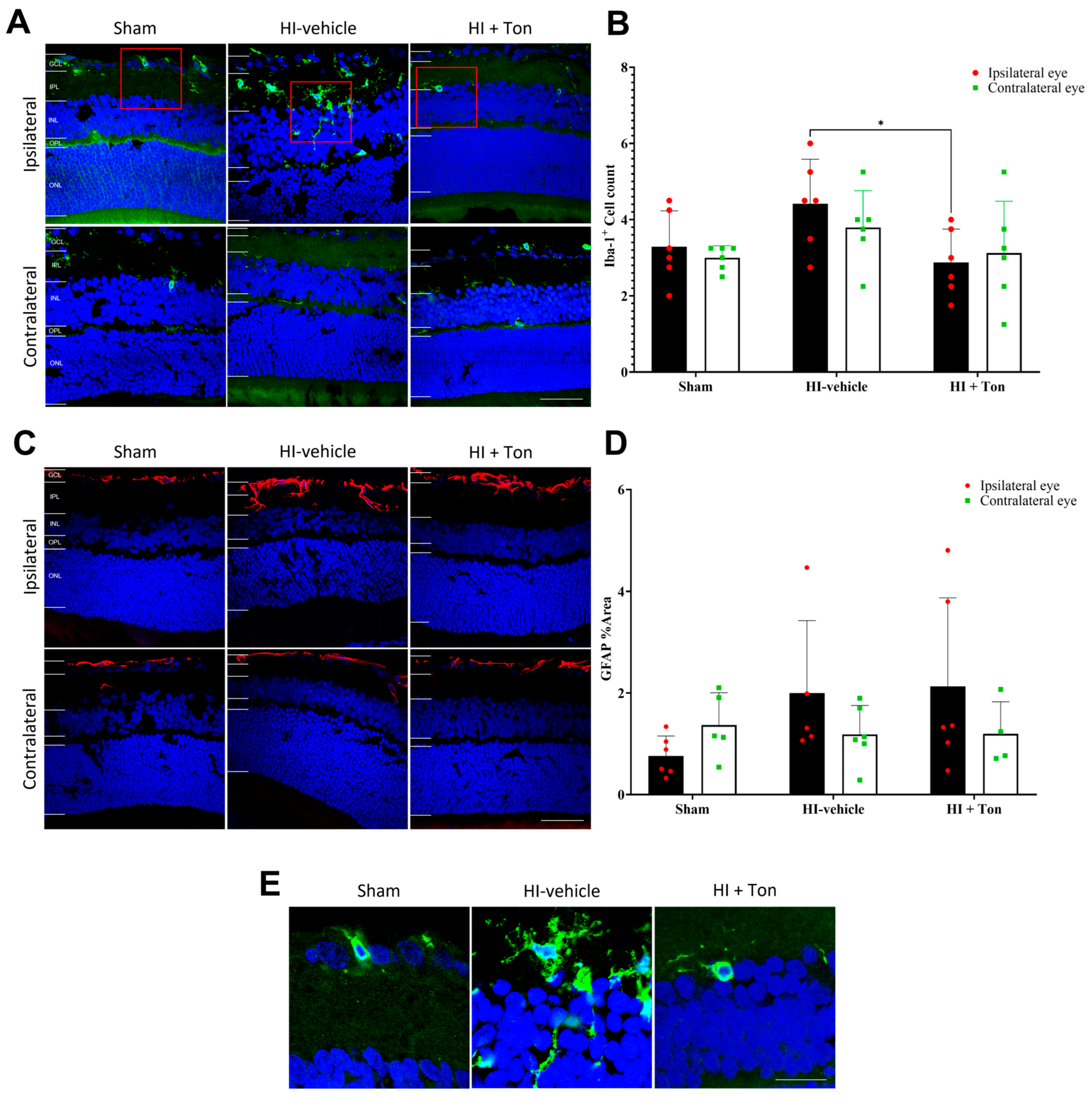 Ijms 26 07996 g001 Ijms 26 07996 g001