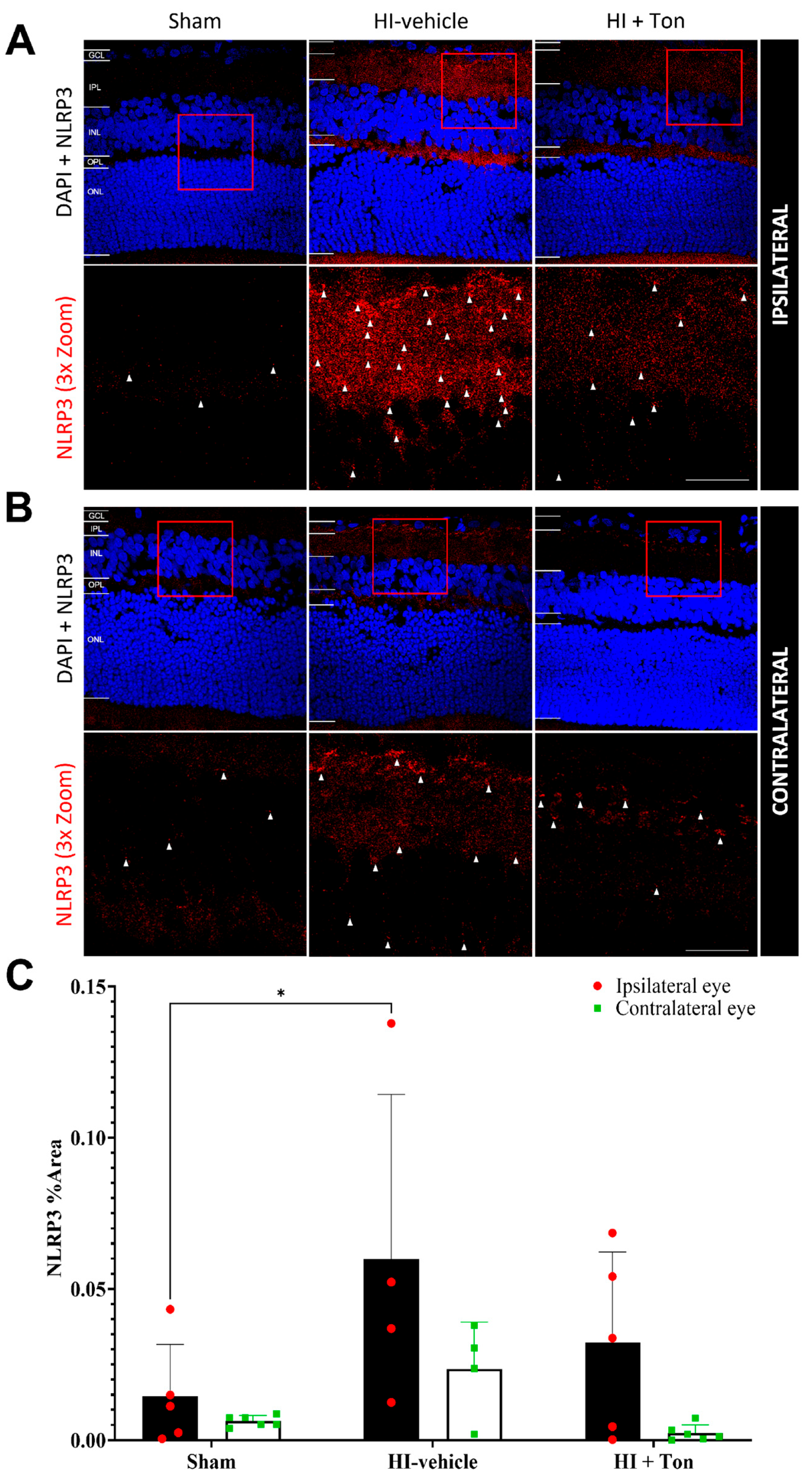 Ijms 26 07996 g002 Ijms 26 07996 g002