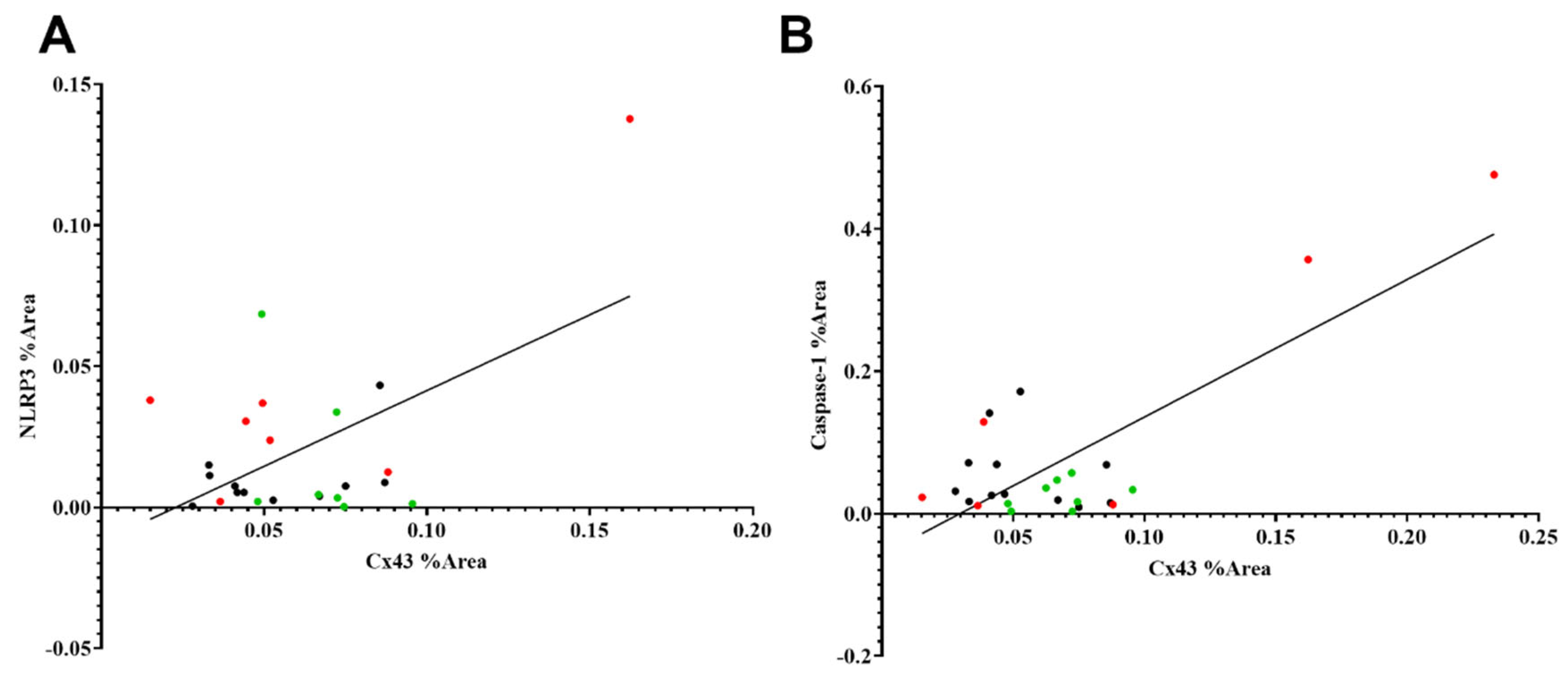 Ijms 26 07996 g006 Ijms 26 07996 g006