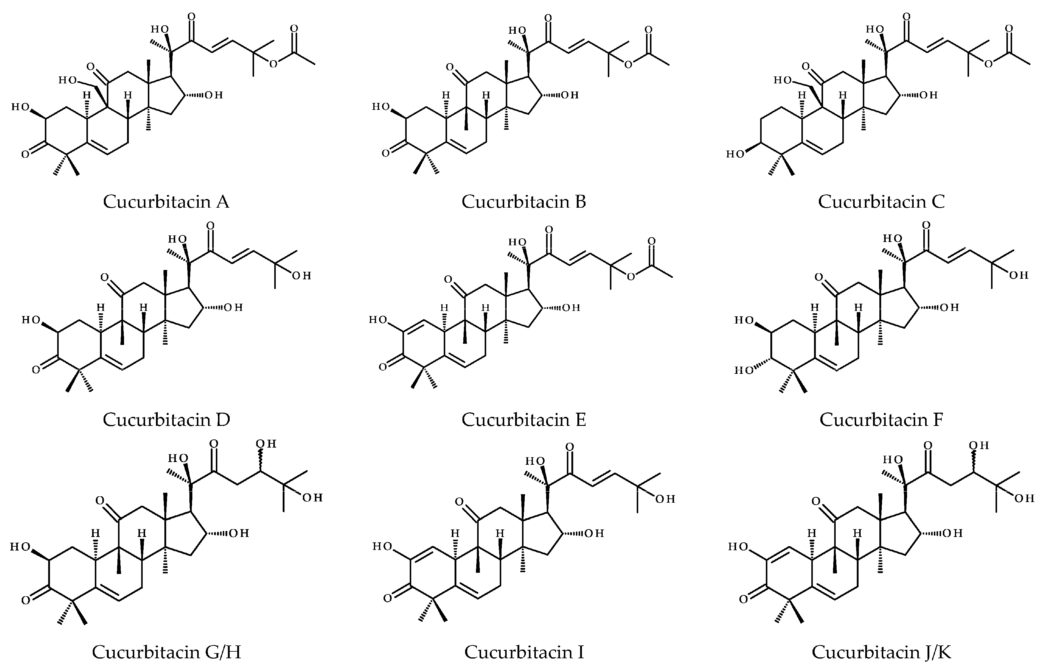 Ijms 26 08003 g001a Ijms 26 08003 g001a