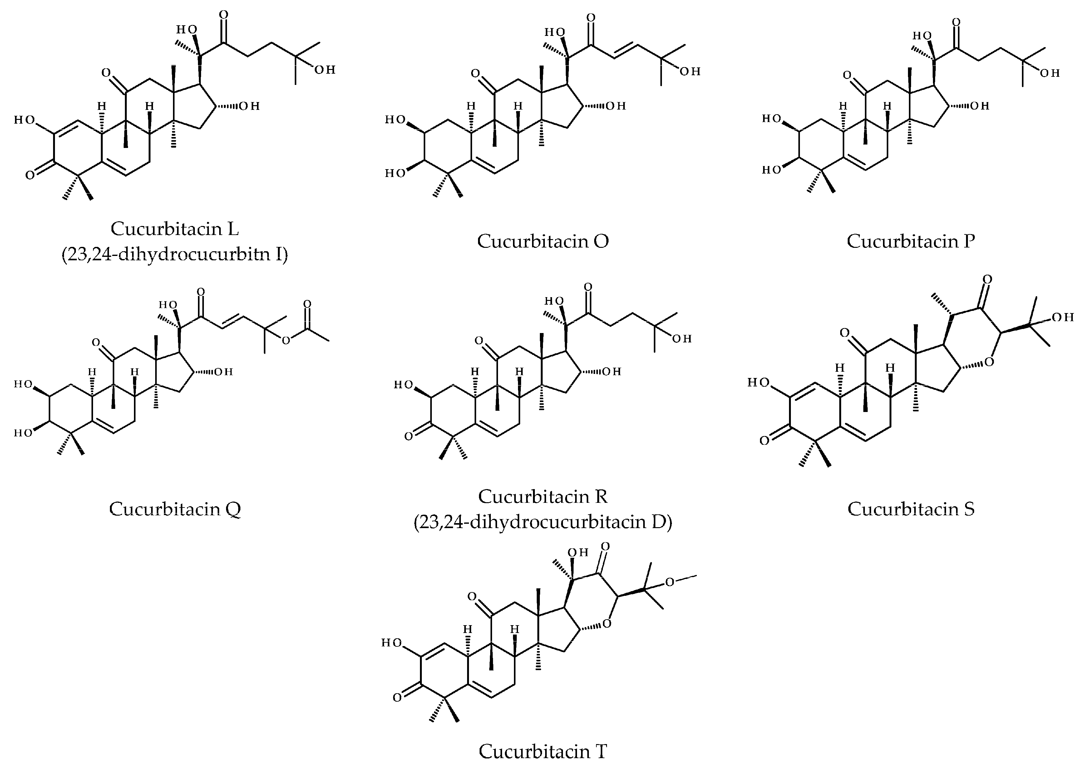 Ijms 26 08003 g001b Ijms 26 08003 g001b