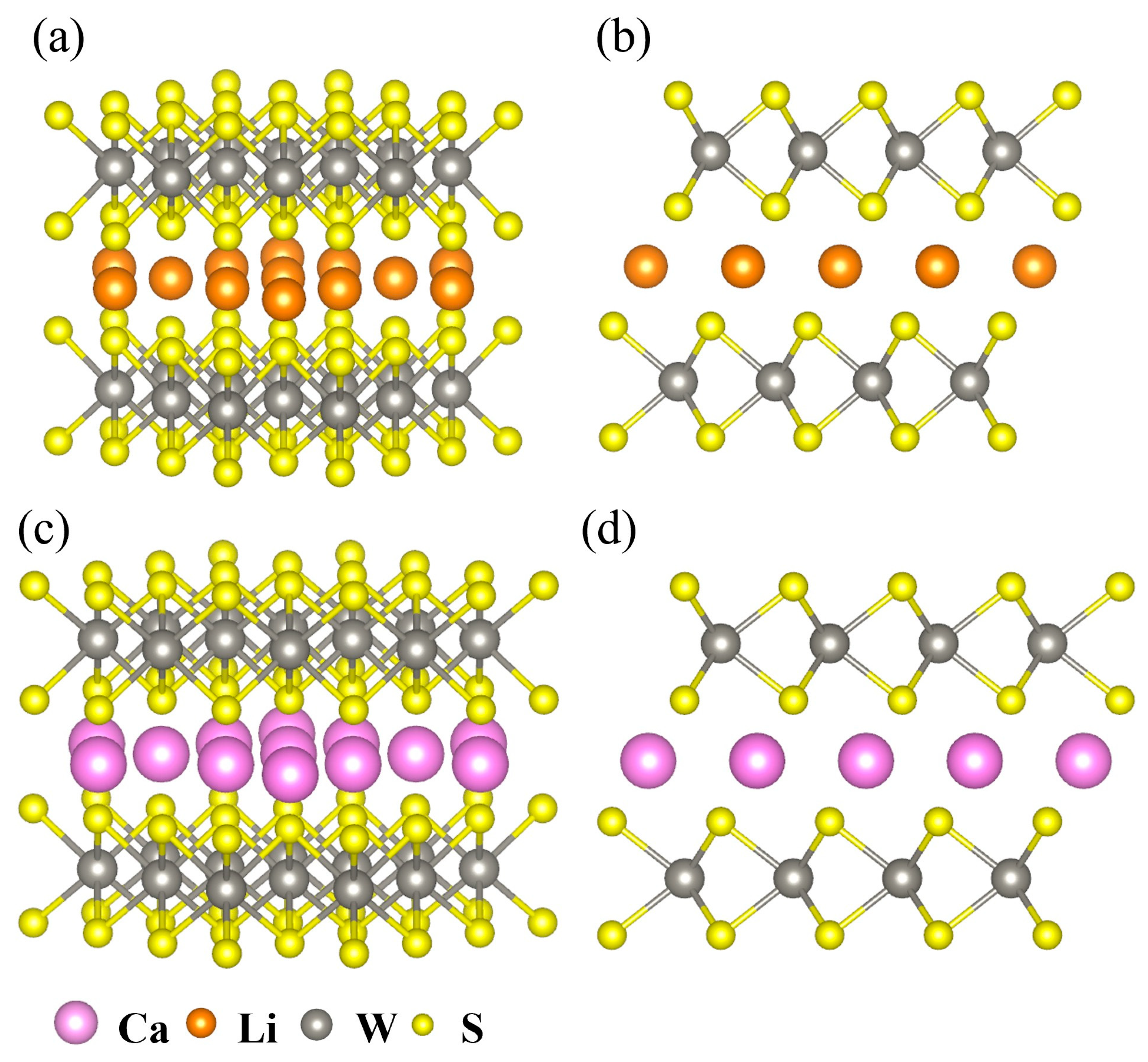 Ijms 26 08005 g001 Ijms 26 08005 g001