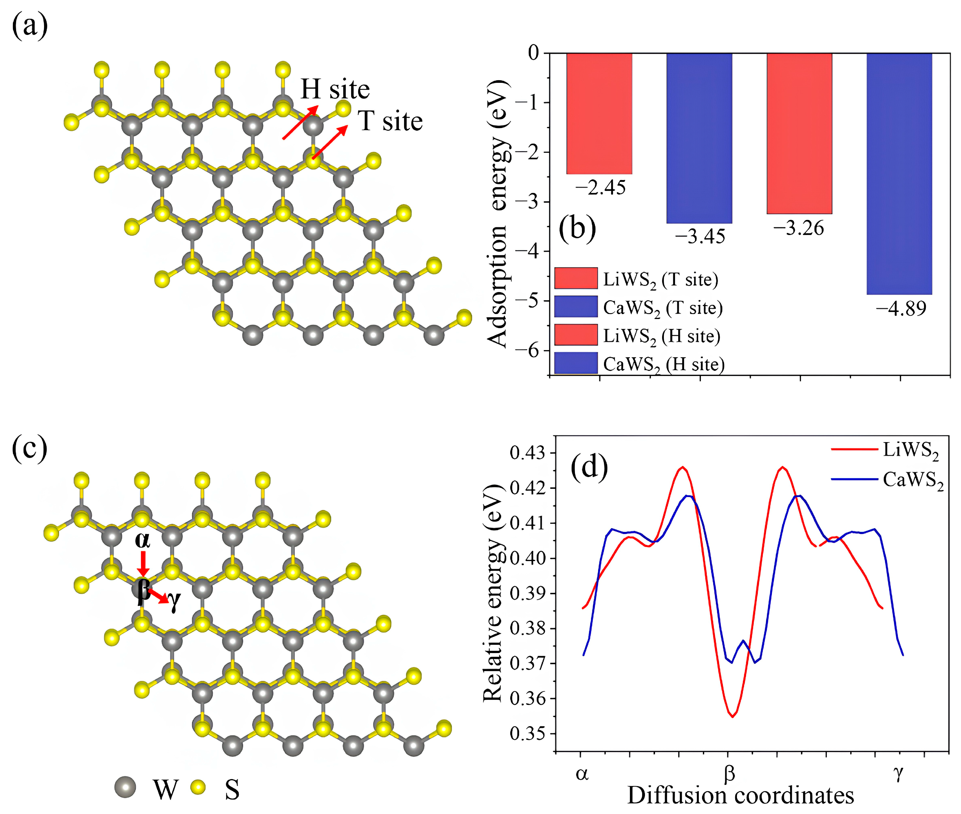 Ijms 26 08005 g005 Ijms 26 08005 g005