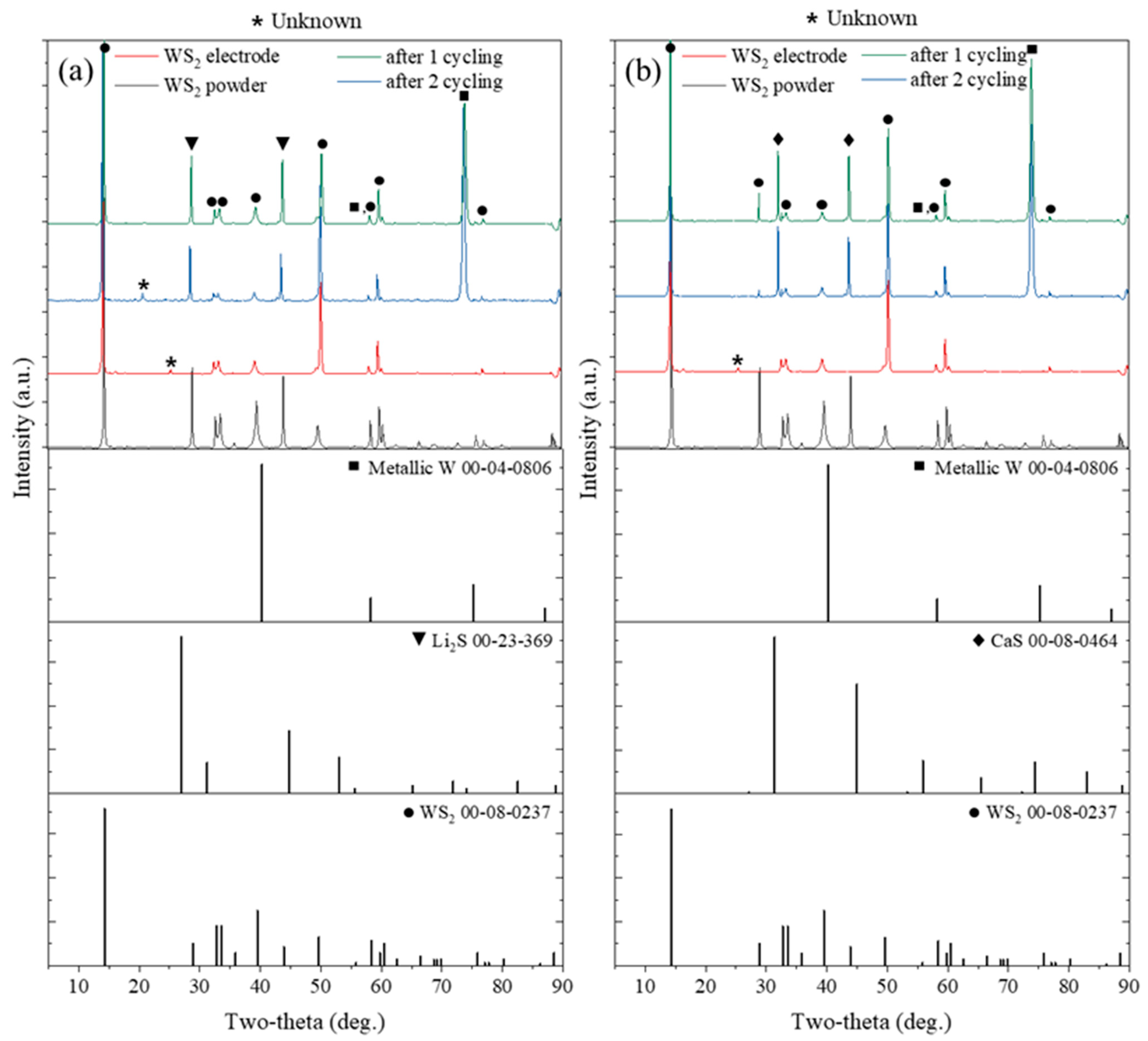 Ijms 26 08005 g007 Ijms 26 08005 g007