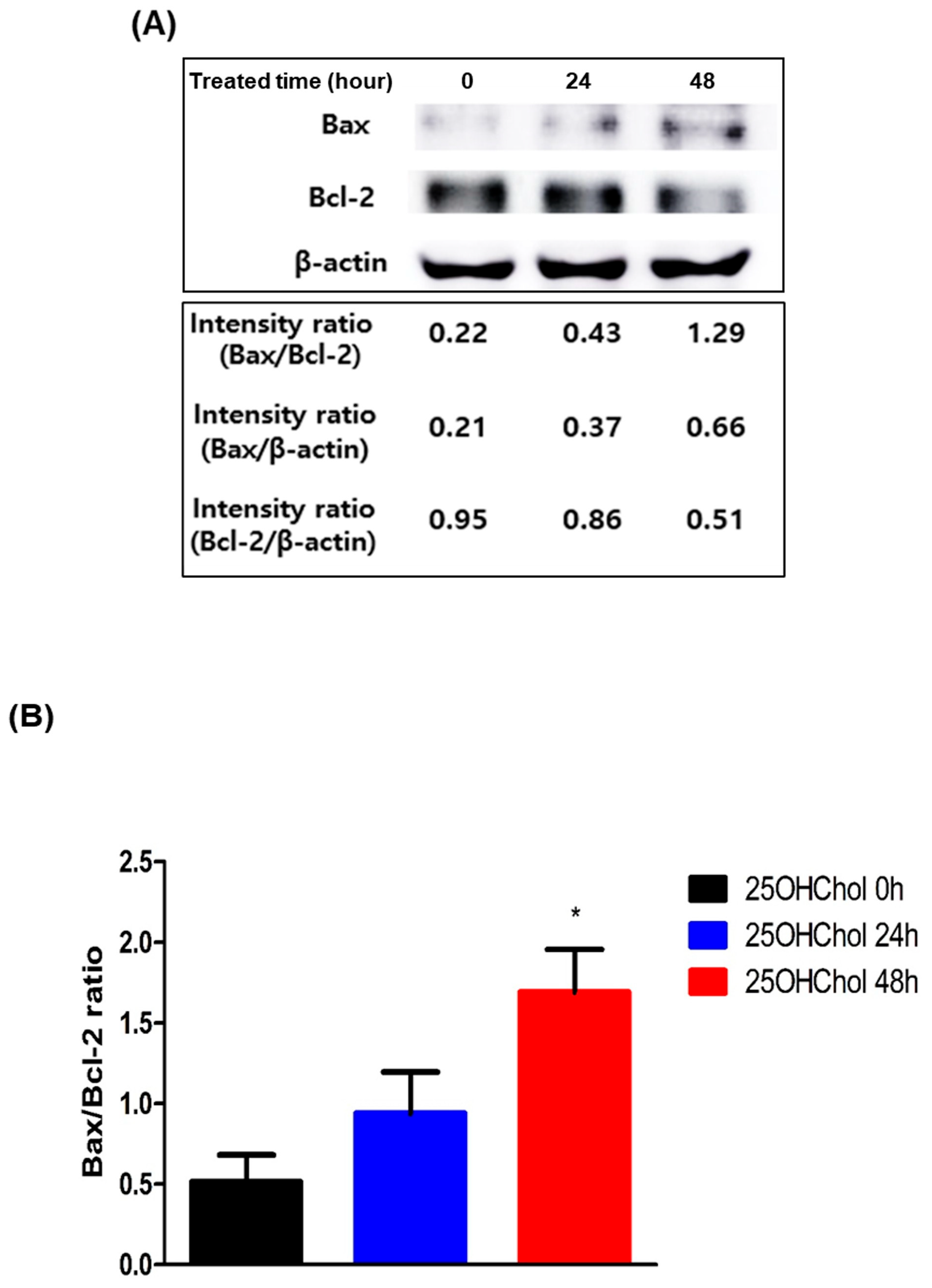 Ijms 26 08012 g004 Ijms 26 08012 g004