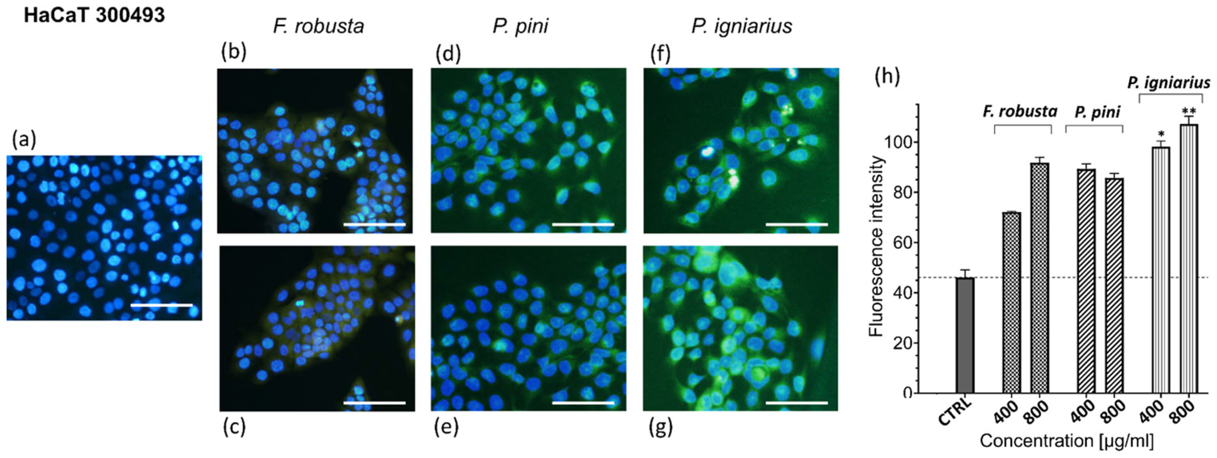 Ijms 26 08013 g008 Ijms 26 08013 g008