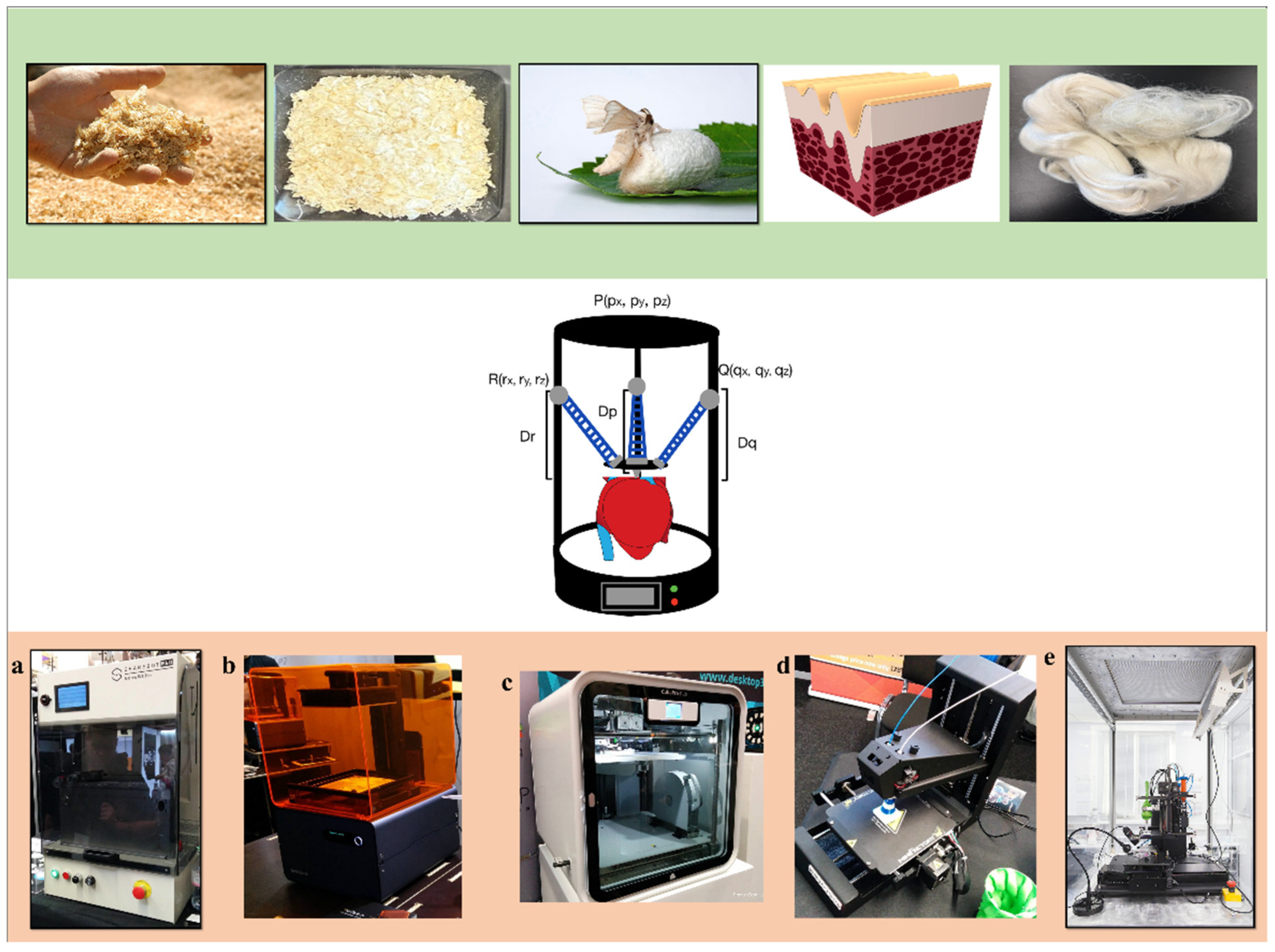 Ijms 26 08016 g001 Ijms 26 08016 g001