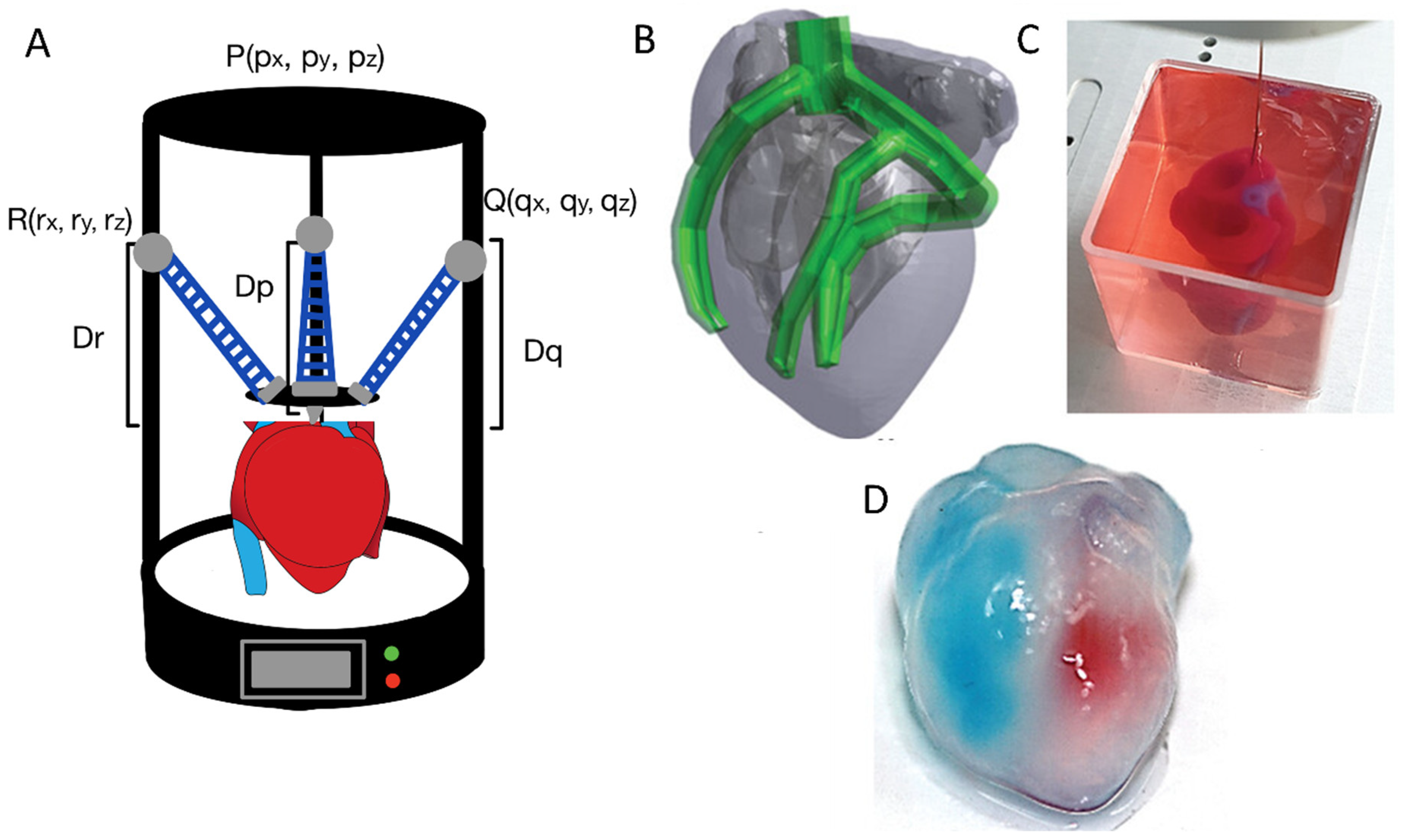 Ijms 26 08016 g003 Ijms 26 08016 g003