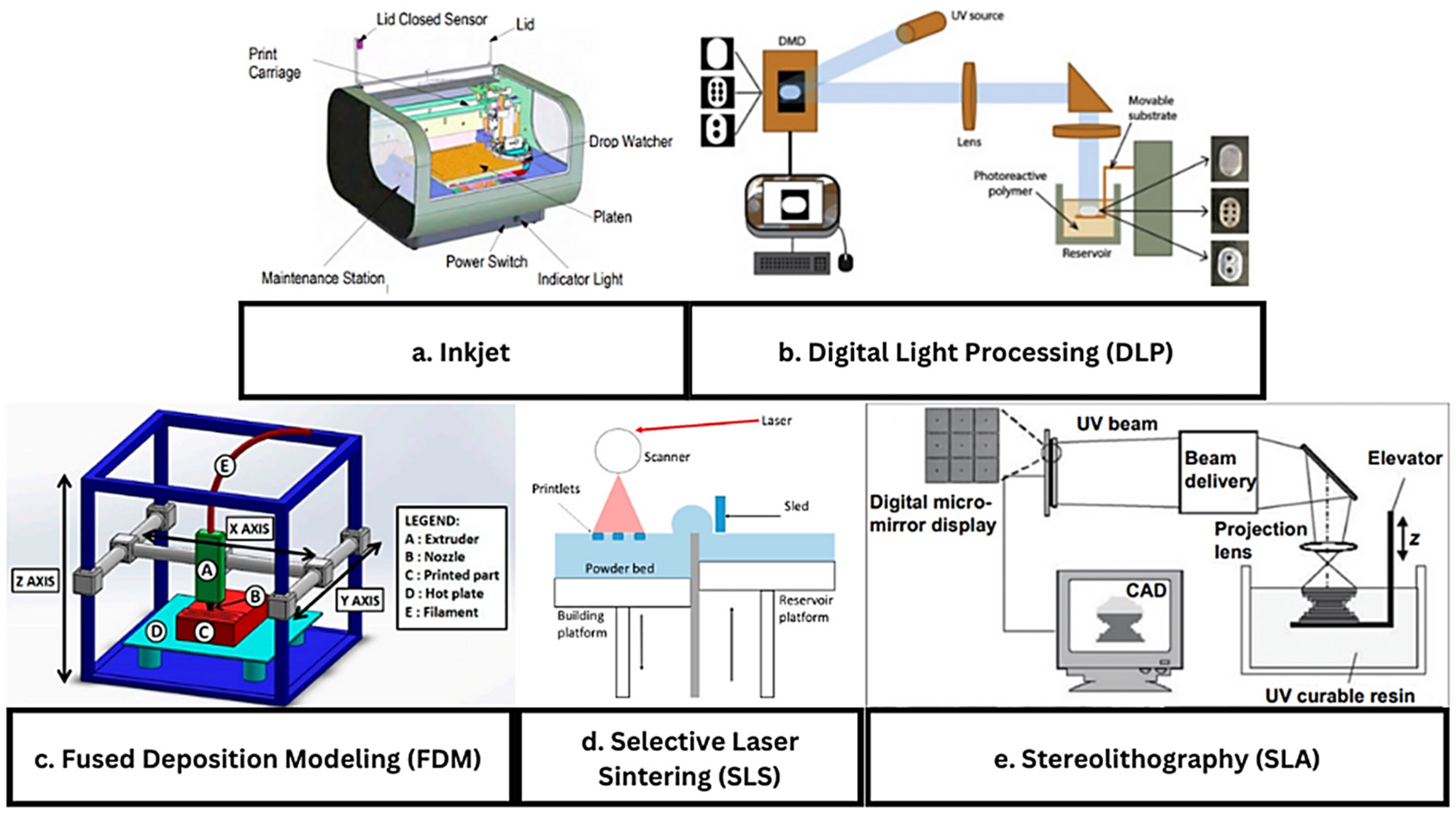 Ijms 26 08016 g006 Ijms 26 08016 g006