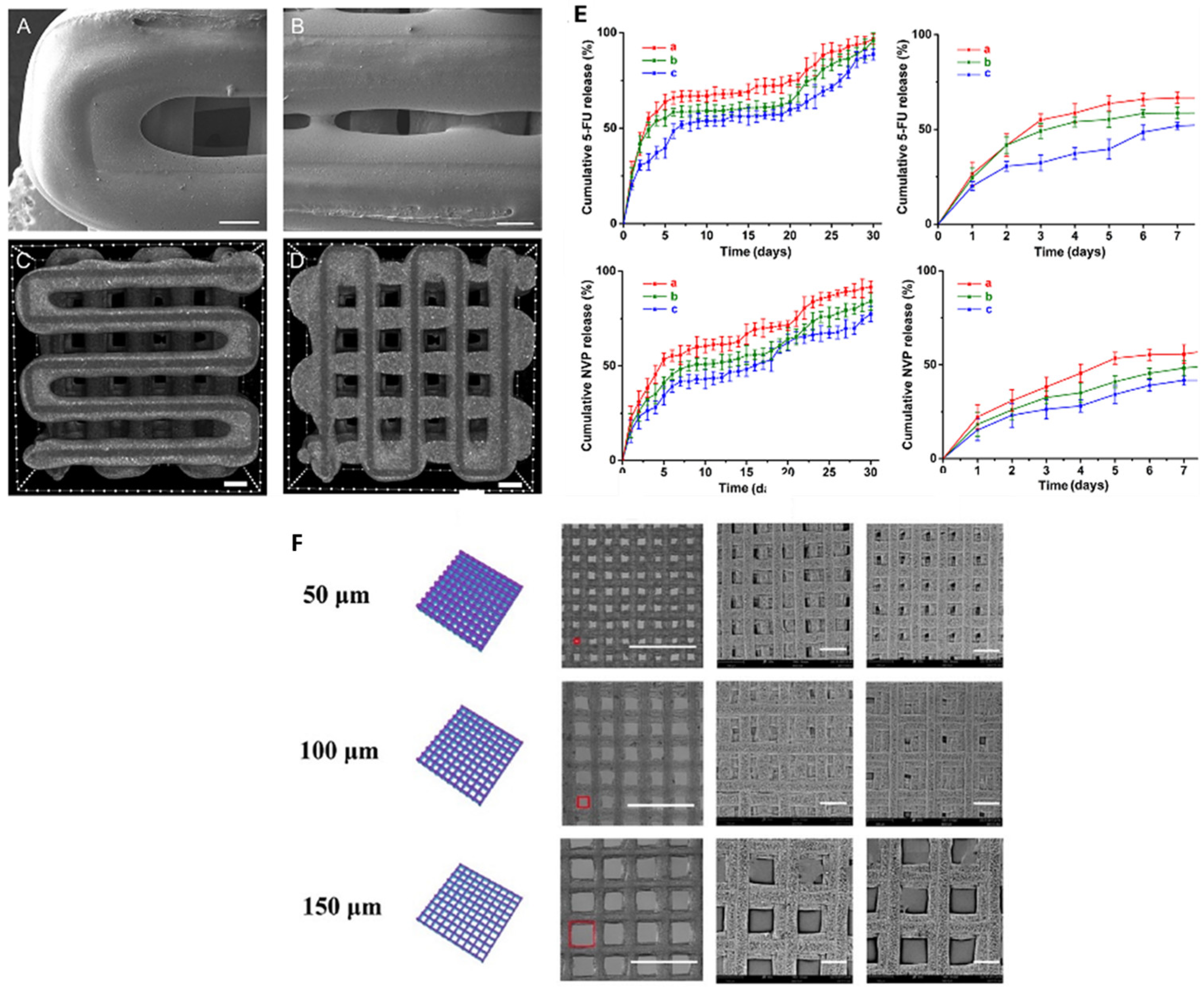 Ijms 26 08016 g007 Ijms 26 08016 g007