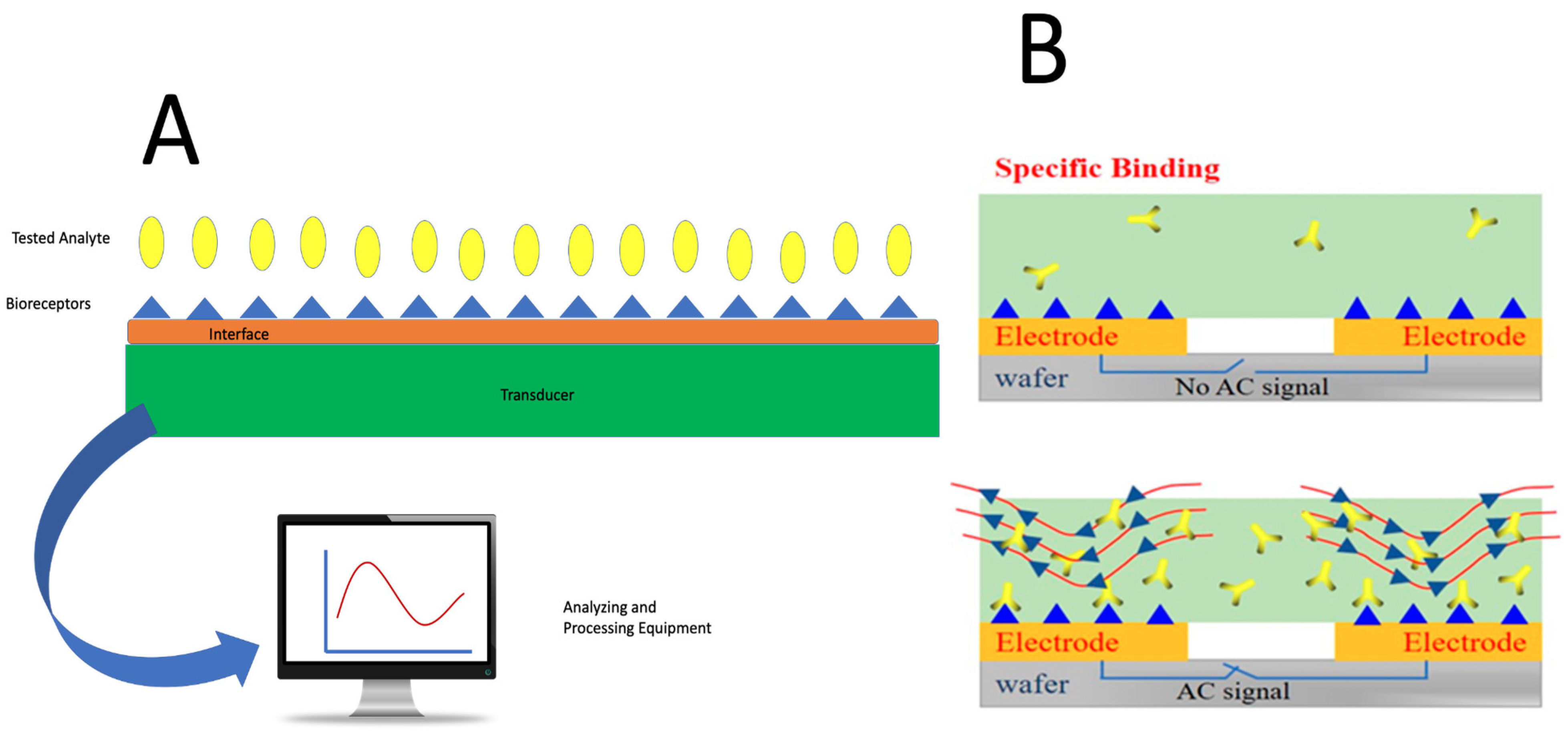 Ijms 26 08016 g010 Ijms 26 08016 g010
