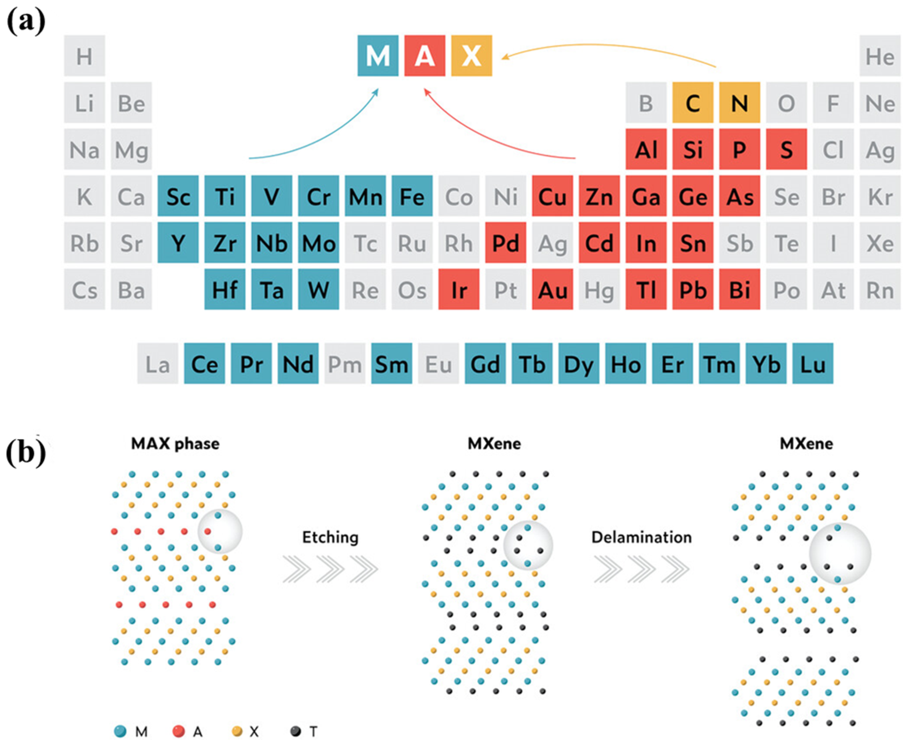 Ijms 26 08019 g001 Ijms 26 08019 g001