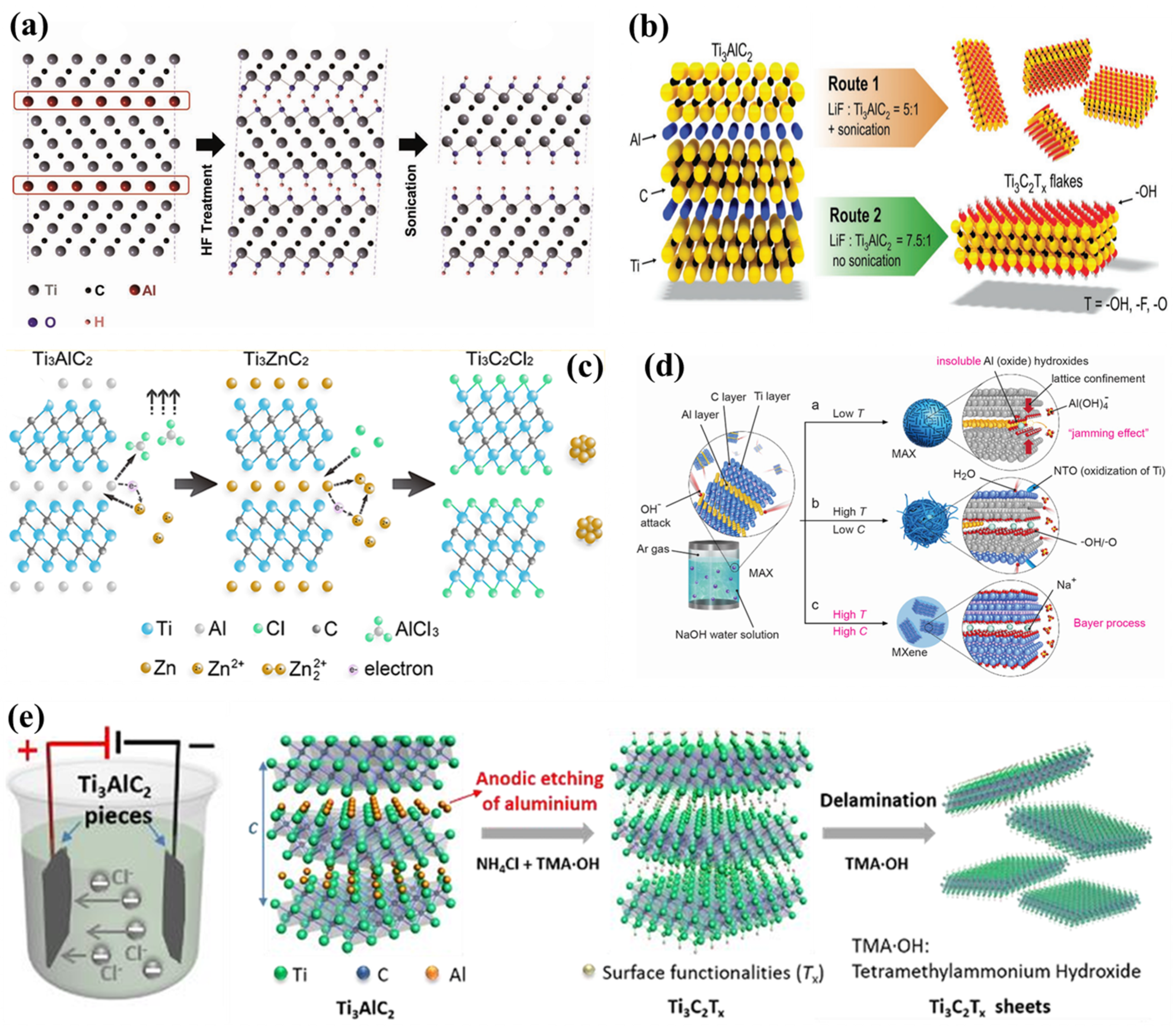 Ijms 26 08019 g002 Ijms 26 08019 g002