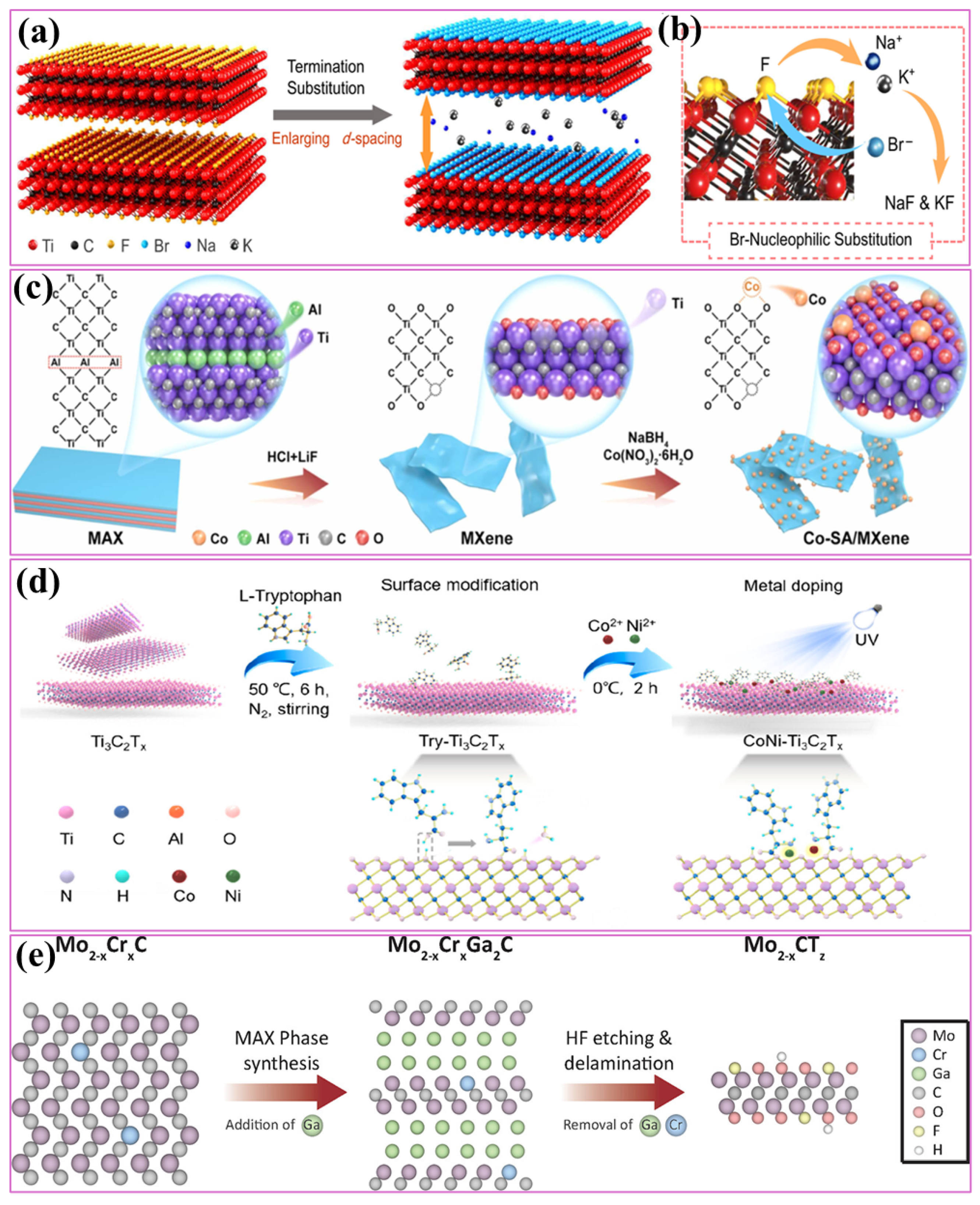Ijms 26 08019 g003 Ijms 26 08019 g003