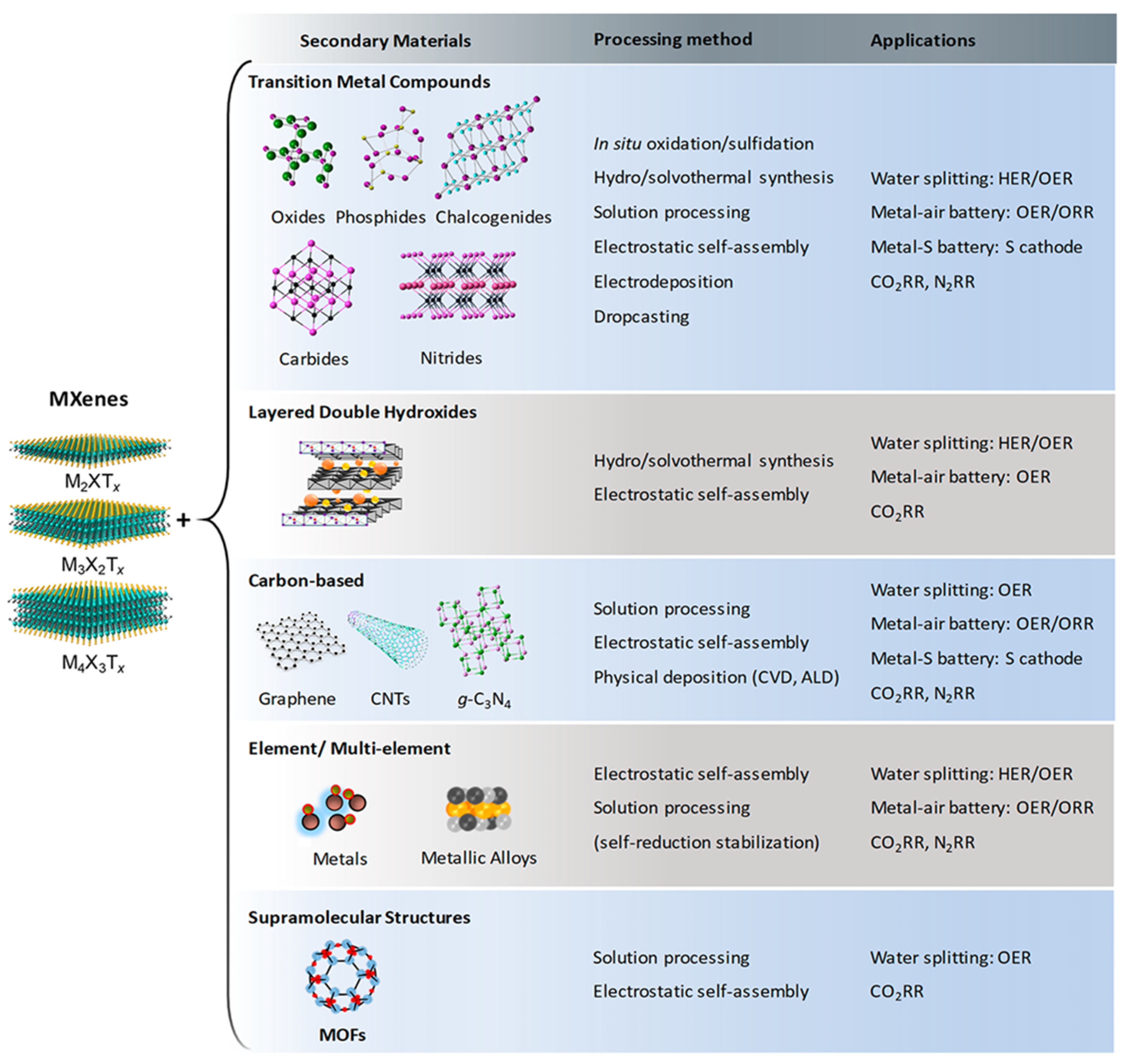 Ijms 26 08019 g004 Ijms 26 08019 g004
