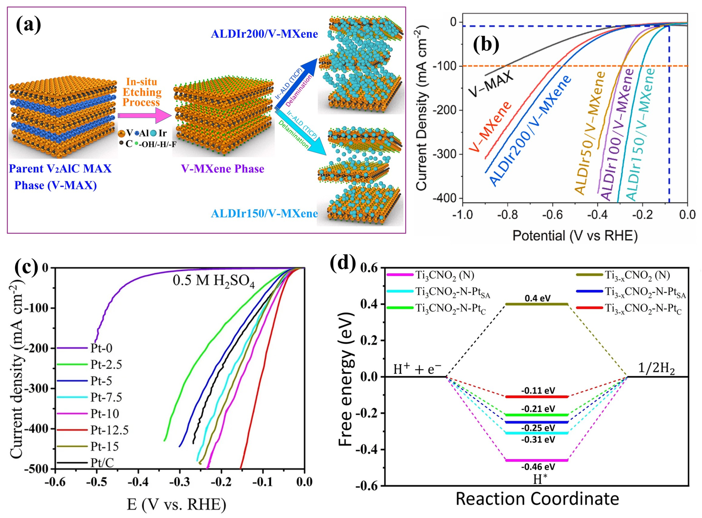 Ijms 26 08019 g005 Ijms 26 08019 g005