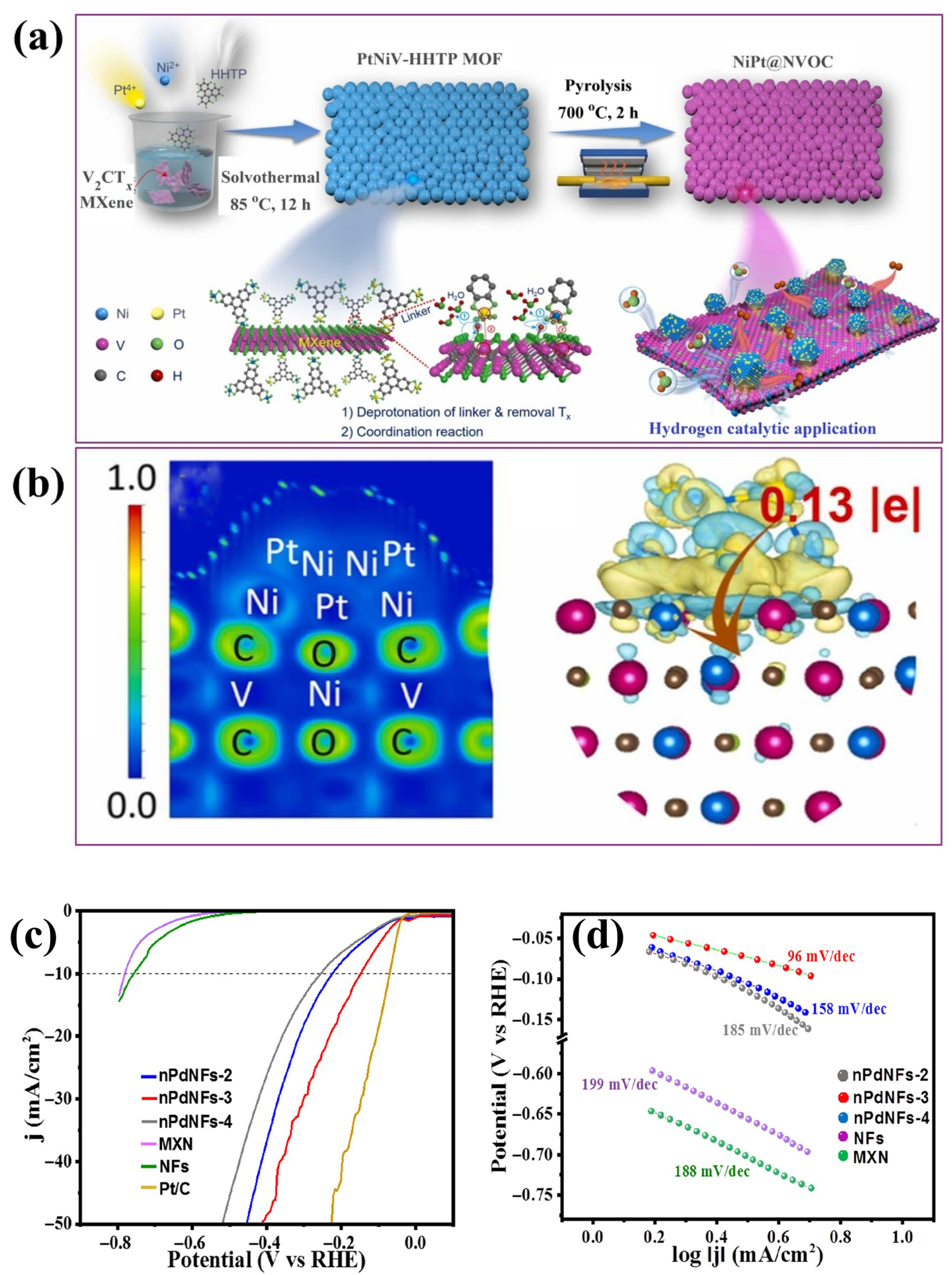Ijms 26 08019 g006 Ijms 26 08019 g006