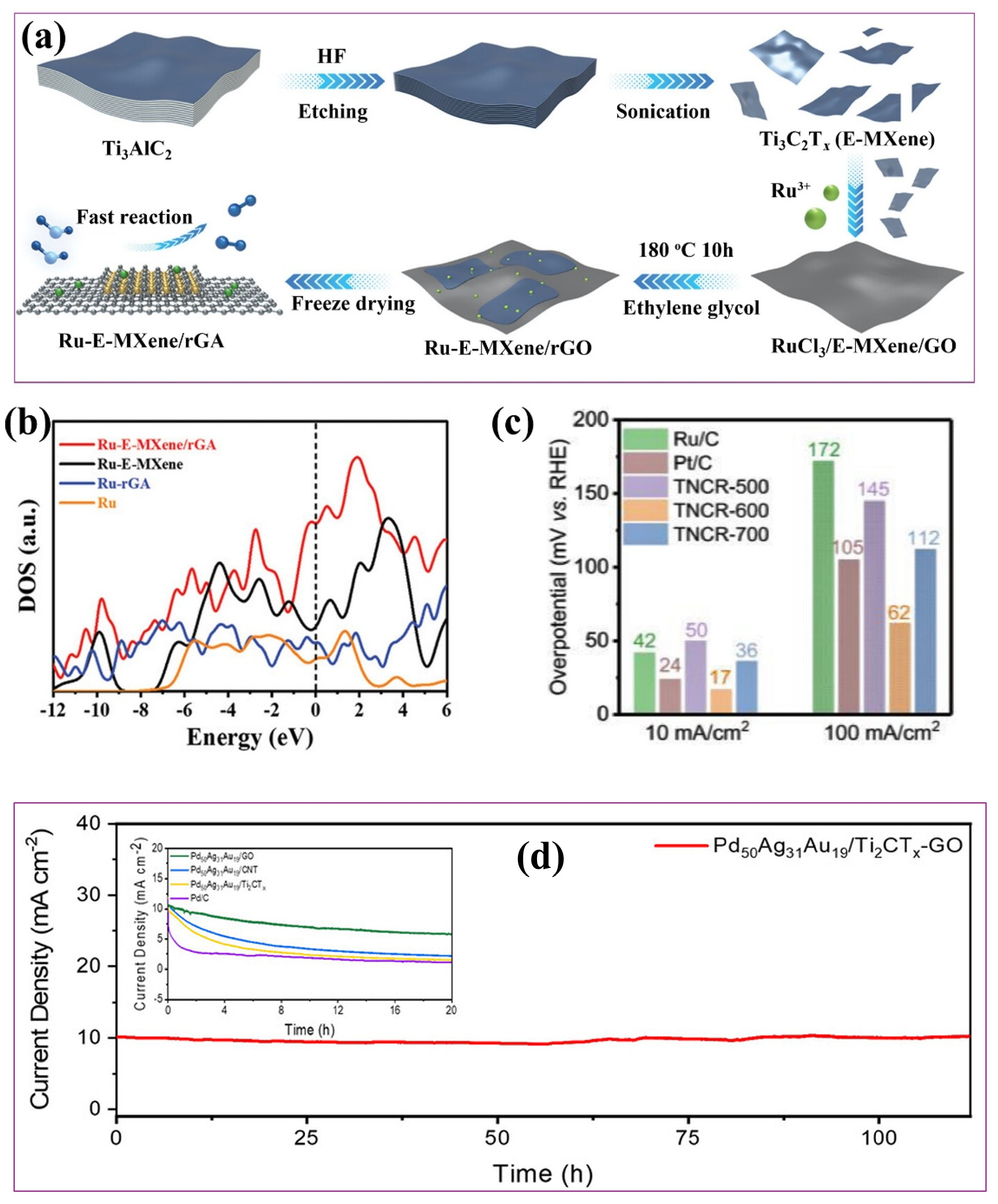 Ijms 26 08019 g007 Ijms 26 08019 g007