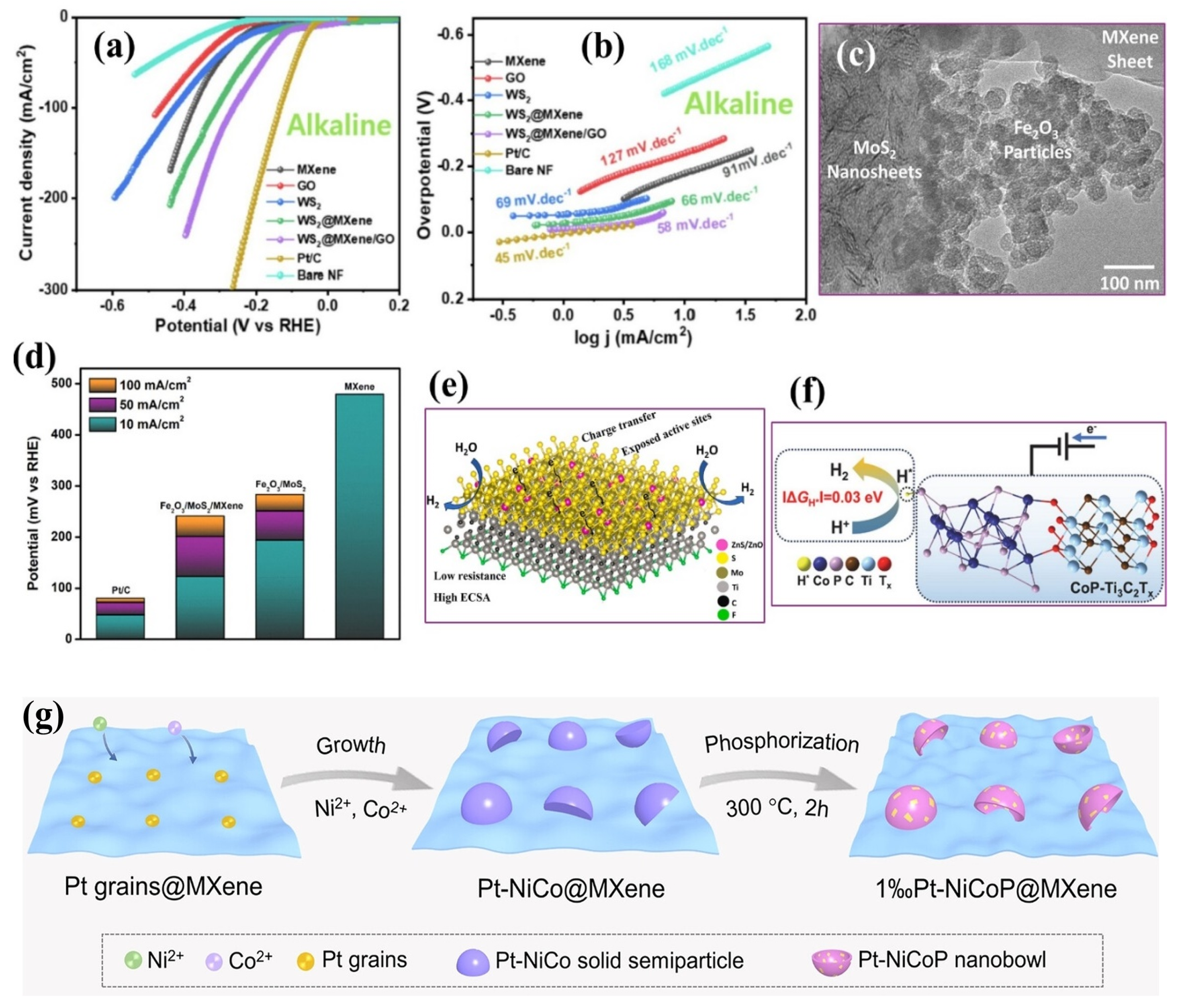Ijms 26 08019 g009 Ijms 26 08019 g009
