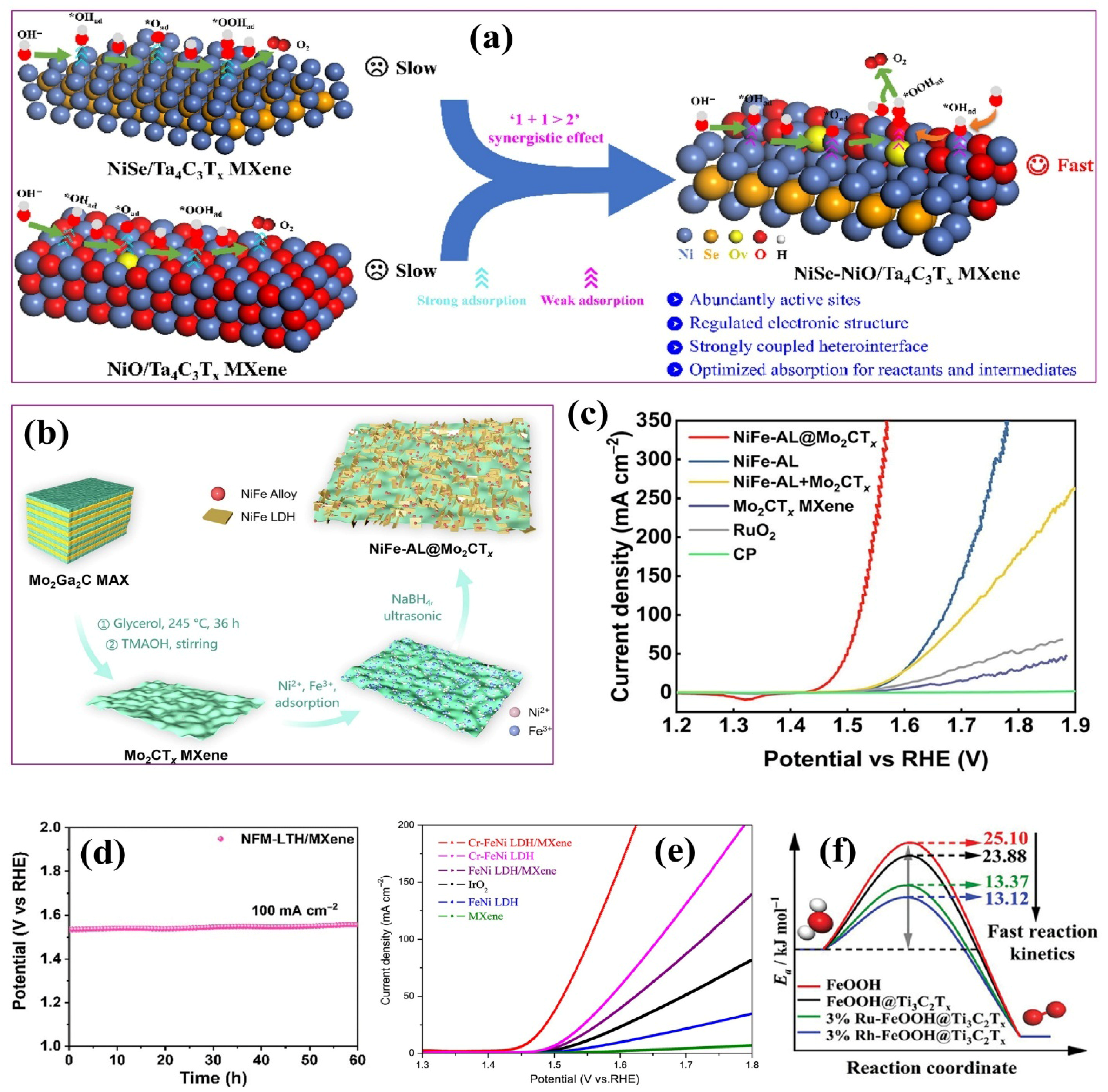 Ijms 26 08019 g011 Ijms 26 08019 g011