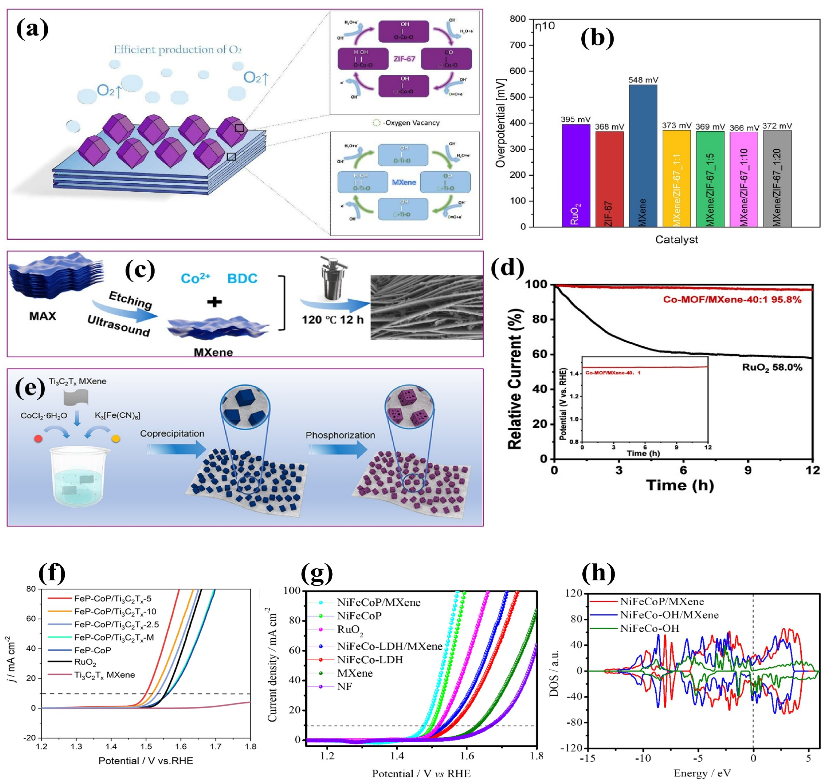 Ijms 26 08019 g012 Ijms 26 08019 g012