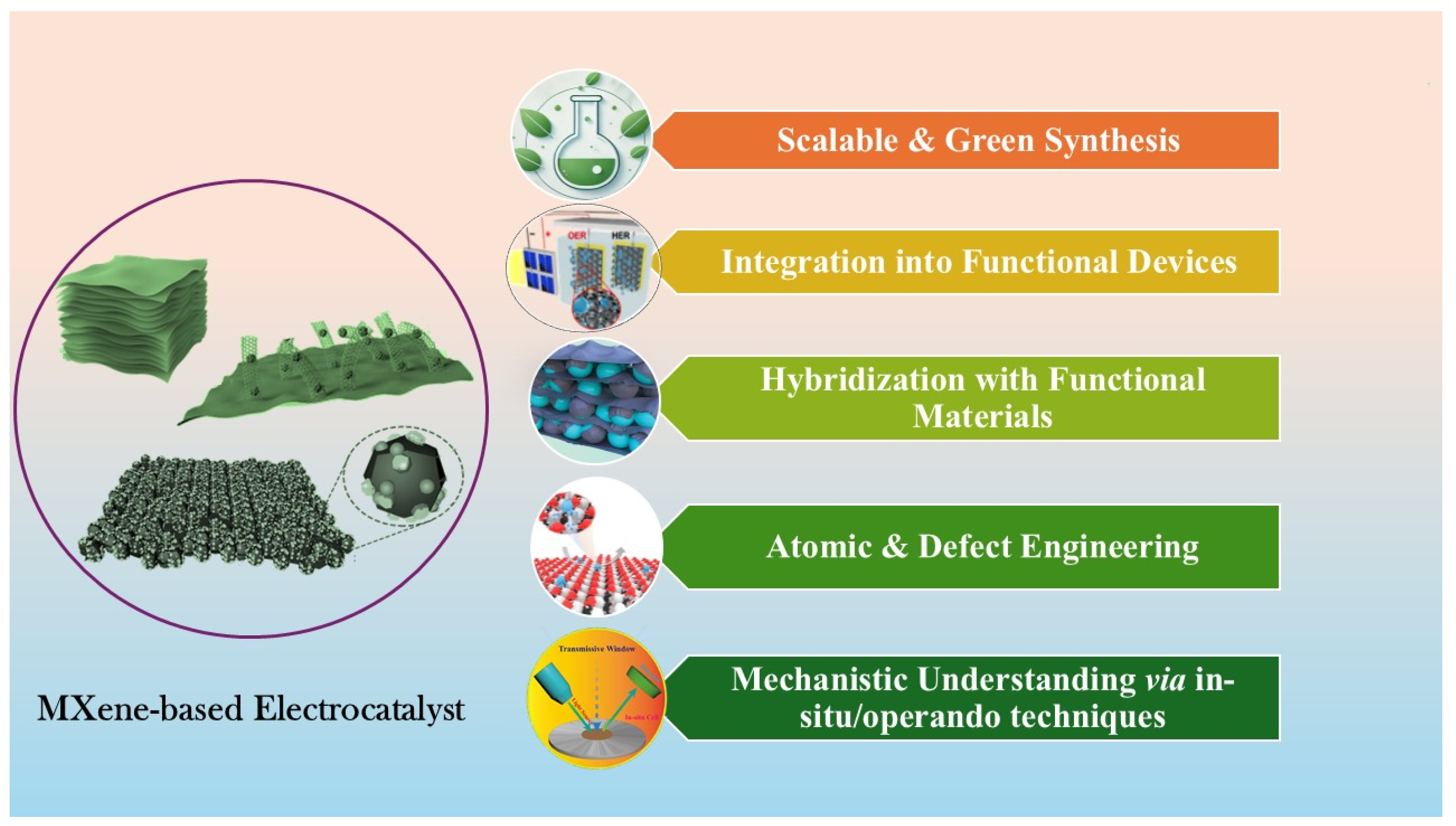 Ijms 26 08019 g013 Ijms 26 08019 g013