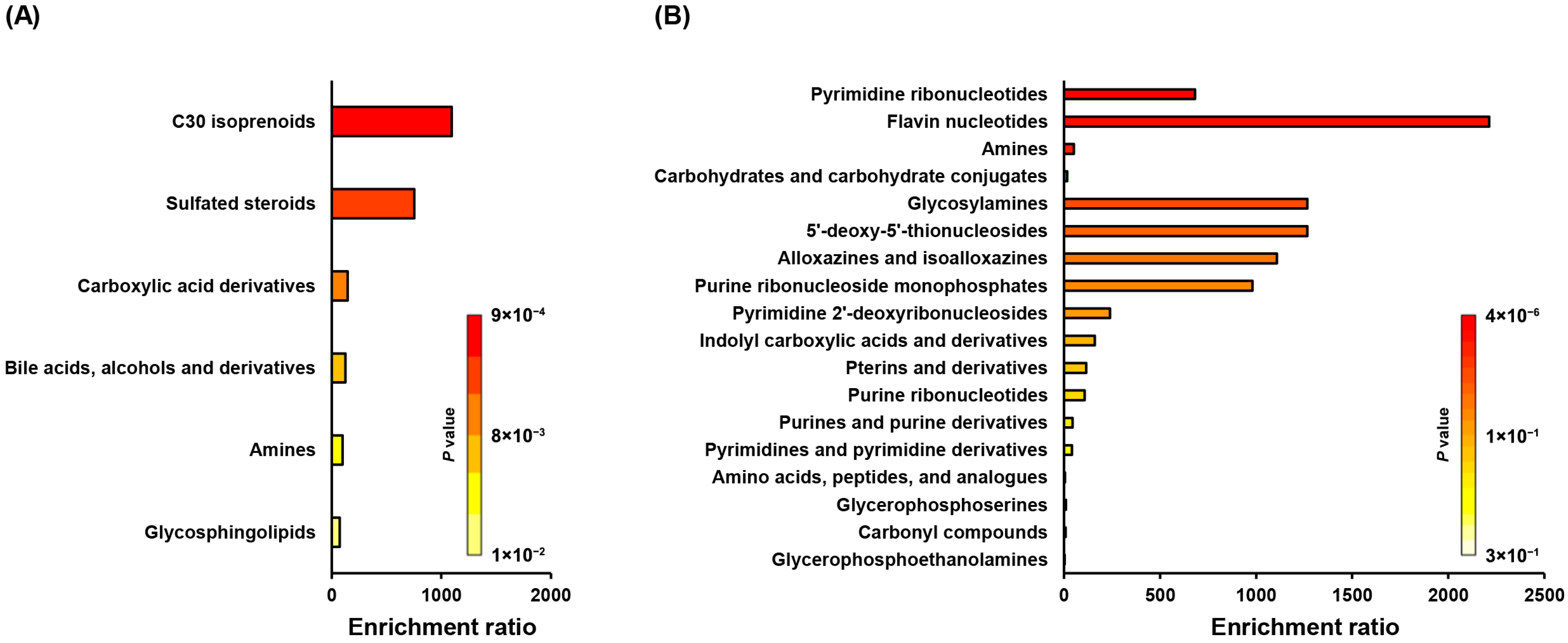 Ijms 26 08020 g002 Ijms 26 08020 g002