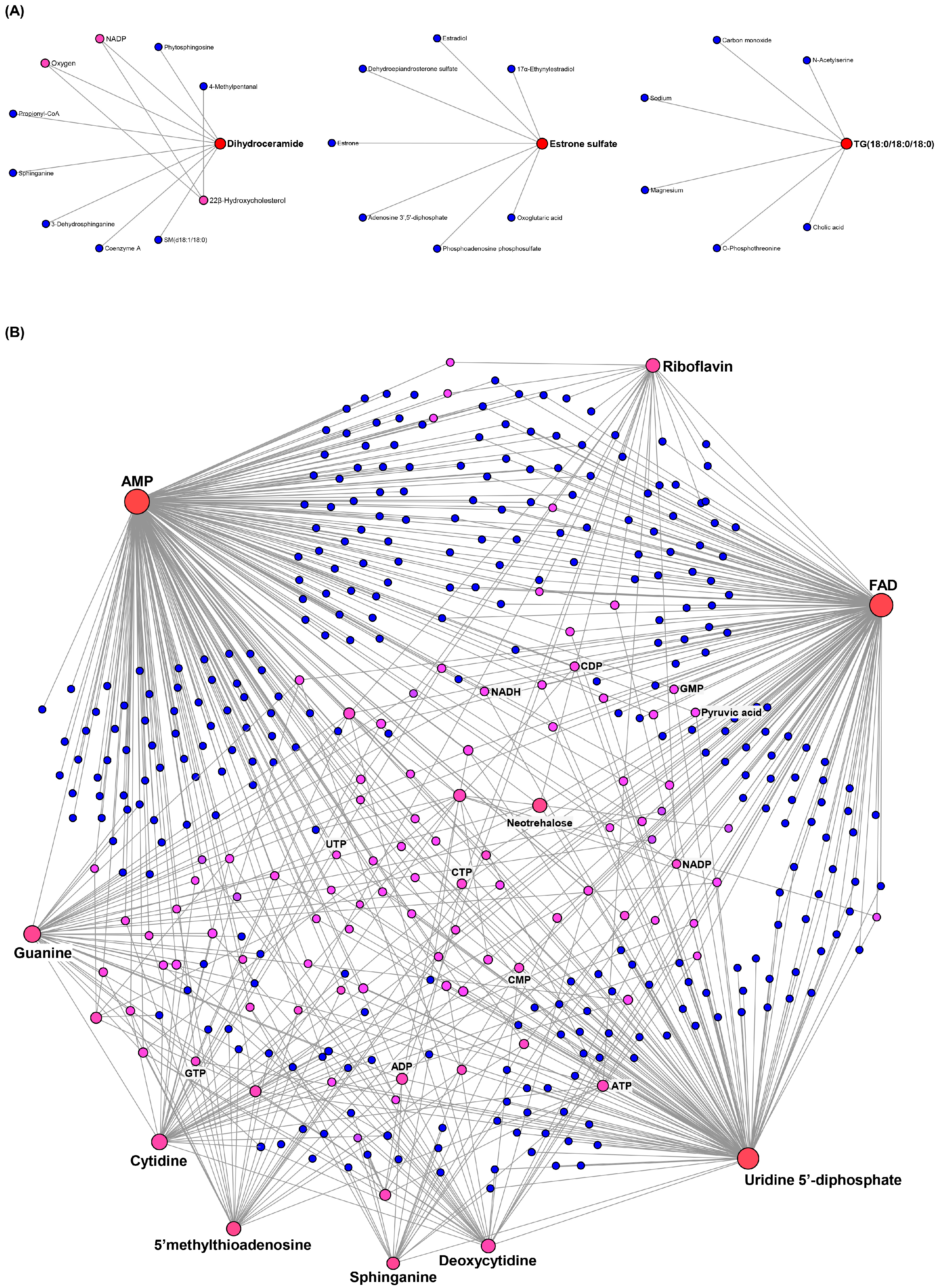 Ijms 26 08020 g004 Ijms 26 08020 g004