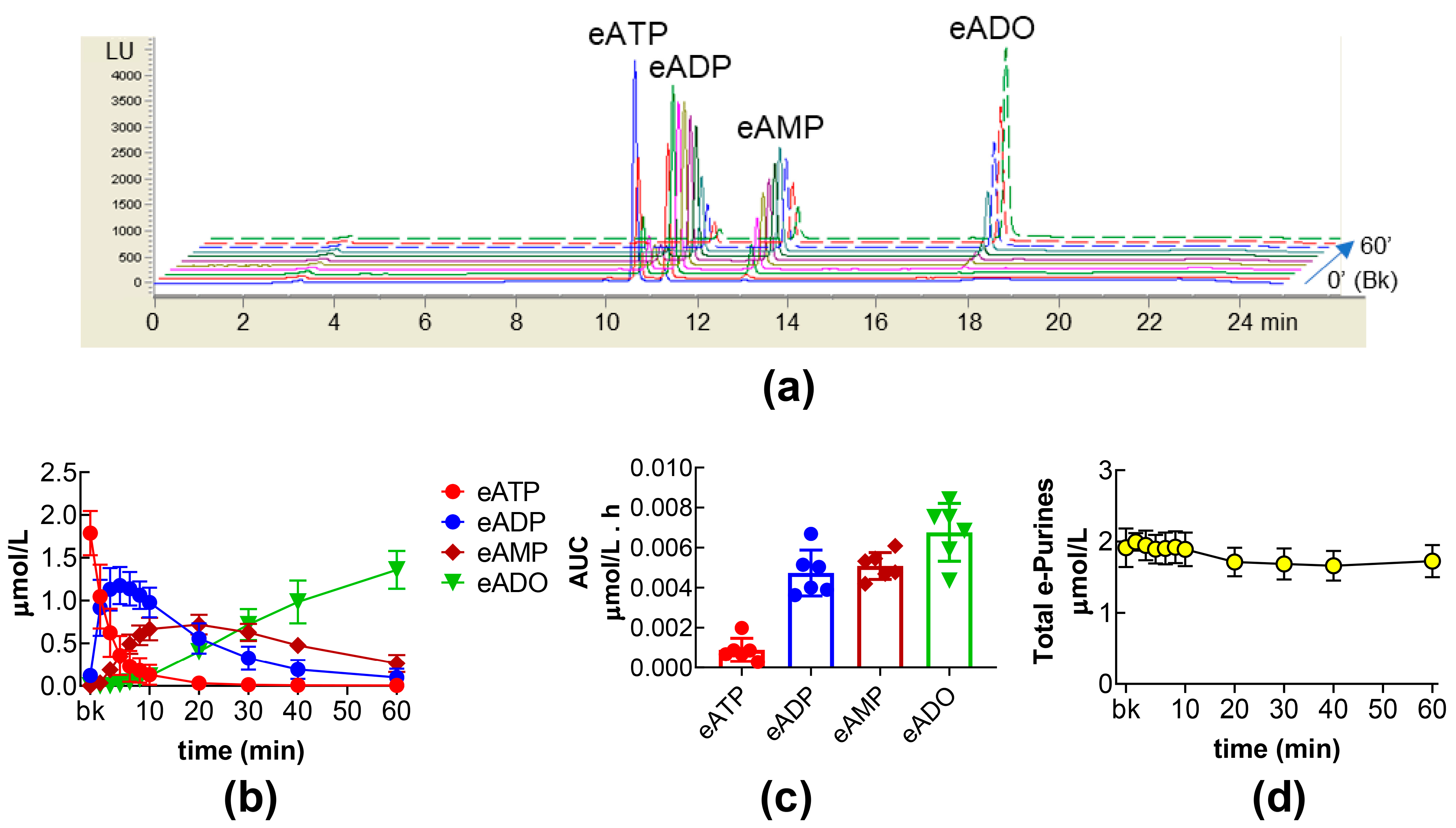 Ijms 26 08023 g001 Ijms 26 08023 g001